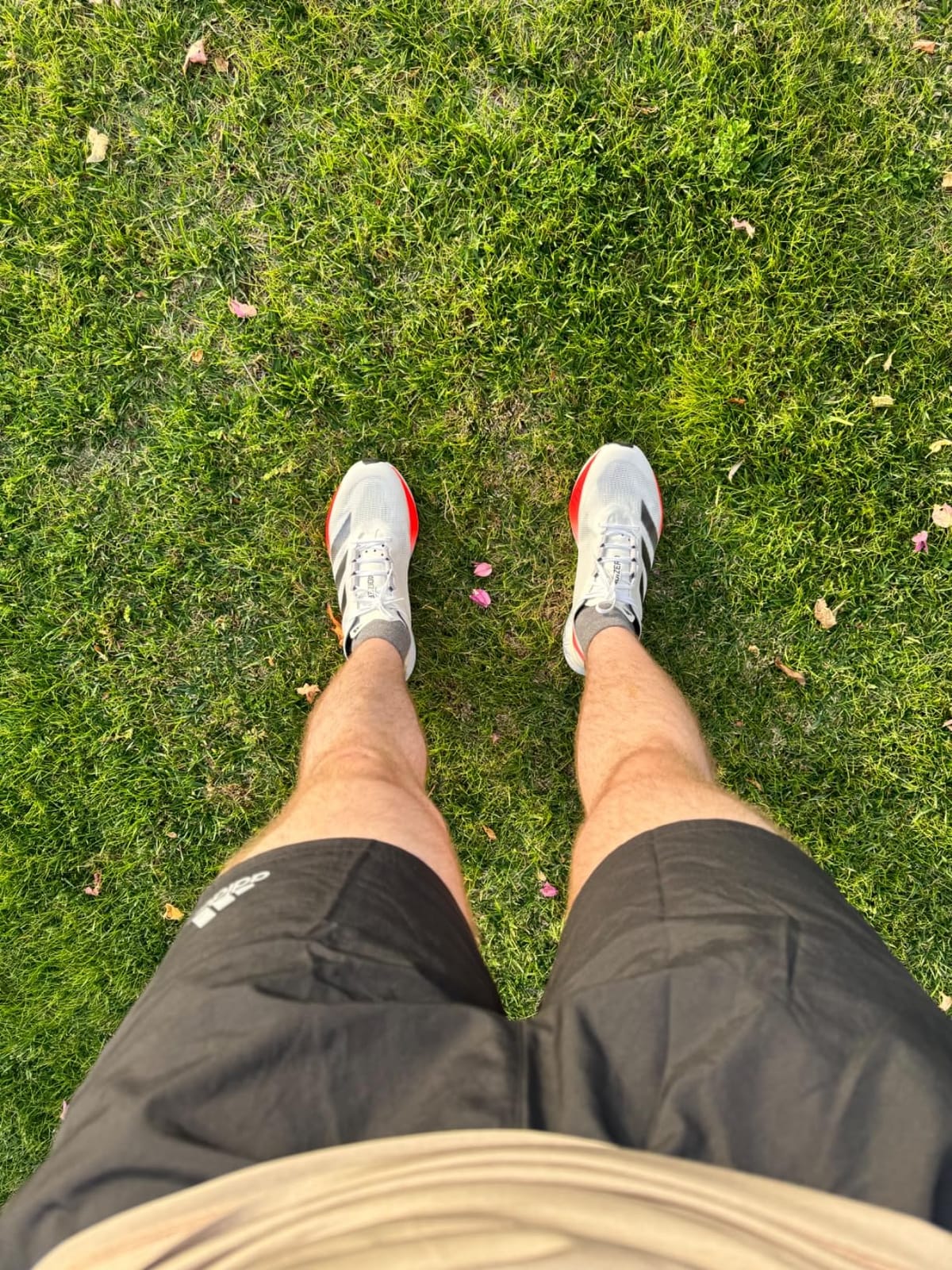 Adizero Boston 12 Running Shoes customer photo 1
