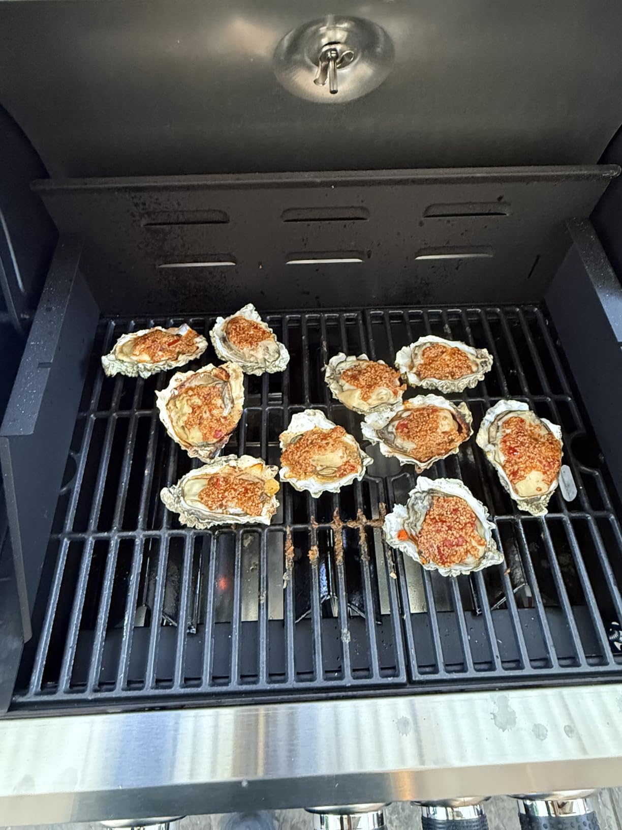 Sophia & William Charcoal and Gas Grill Combo with Side Burner, Dual Fuel customer photo 2