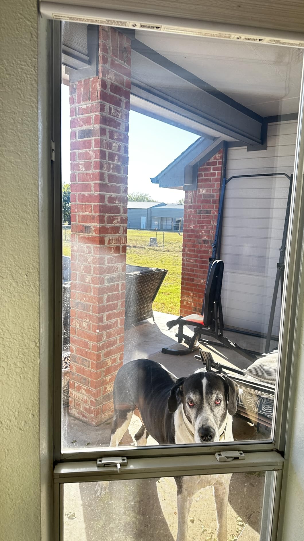 Karcher Electric Window Vacuum WV 1 Plus, 10 in Electric Squeegee, Battery Powered, Includes Cleaning Solution customer photo 2