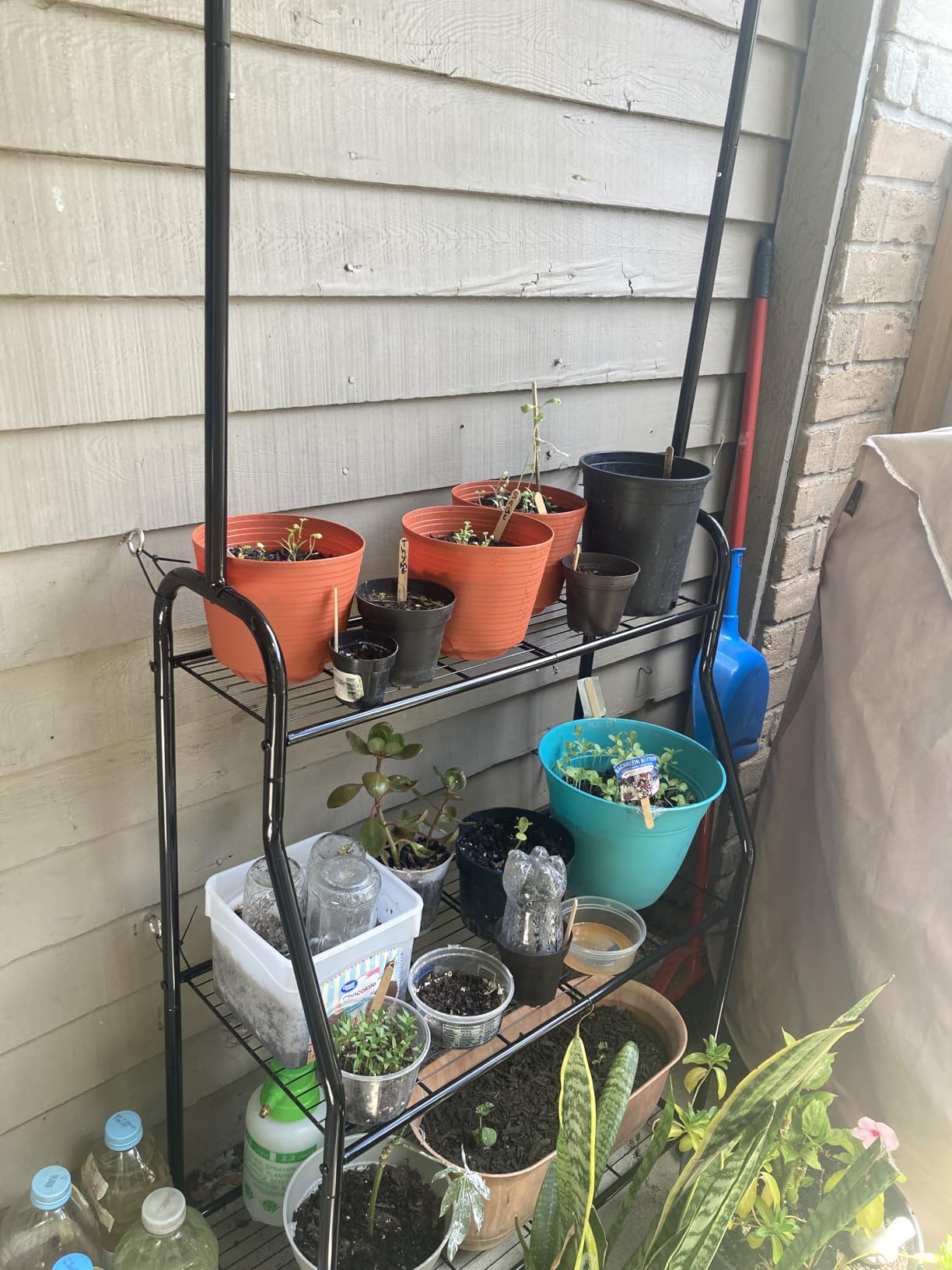 Simple Trending Plant Stand Indoor Outdoor, Heavy Duty Metal 3 Tiered Hanging Plant Shelf for Multiple Flower Planter Holder Tall Large Rack for Living Room Garden Balcony, Black customer photo 1