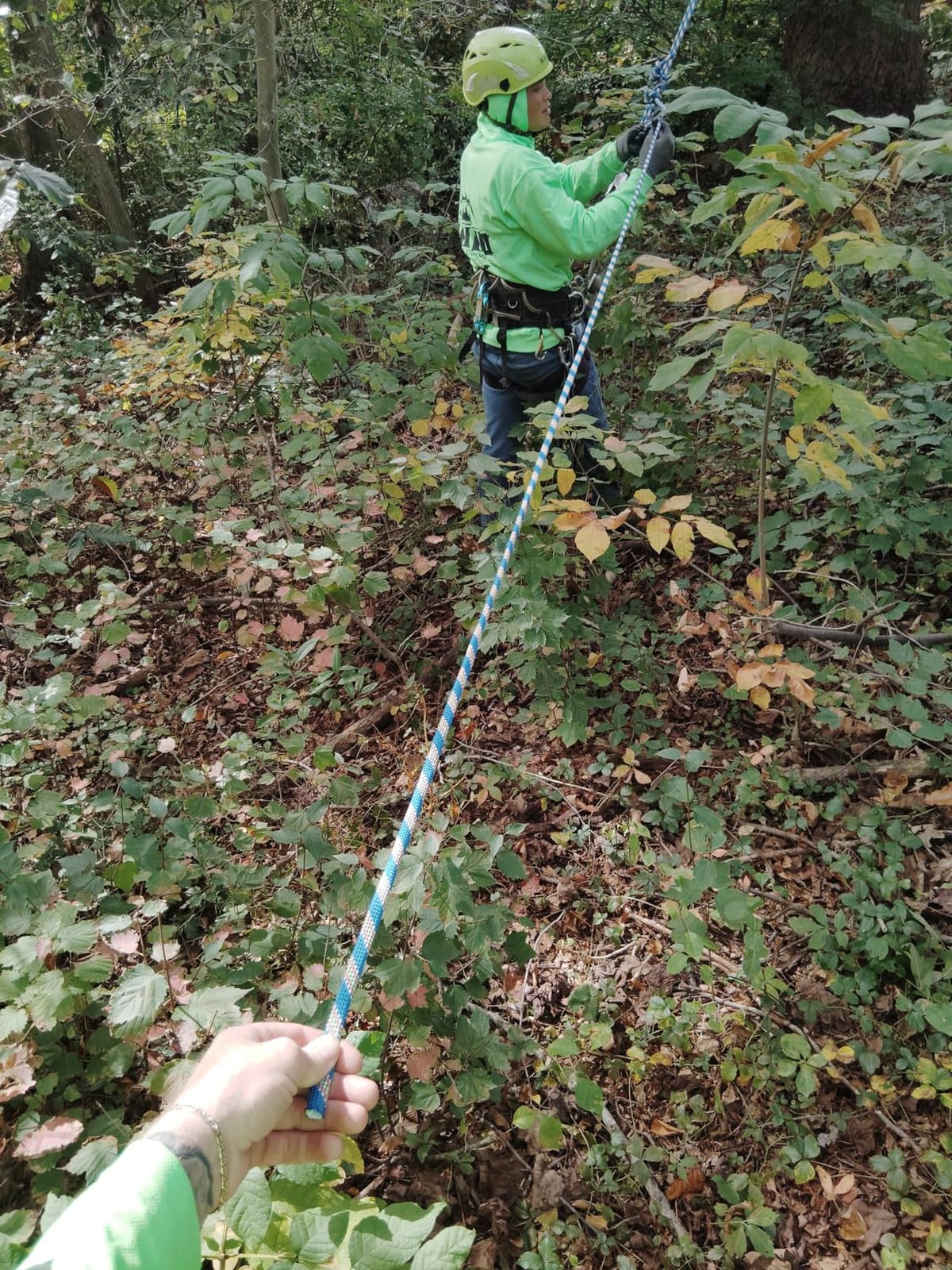 Double Braided Arborist Rigging Rope - 1/2 Inch x 200 Feet Polyester Rope - High Strength Bull Rope for Tree Climbing, Halyard, Sailing(Orange) customer photo 2