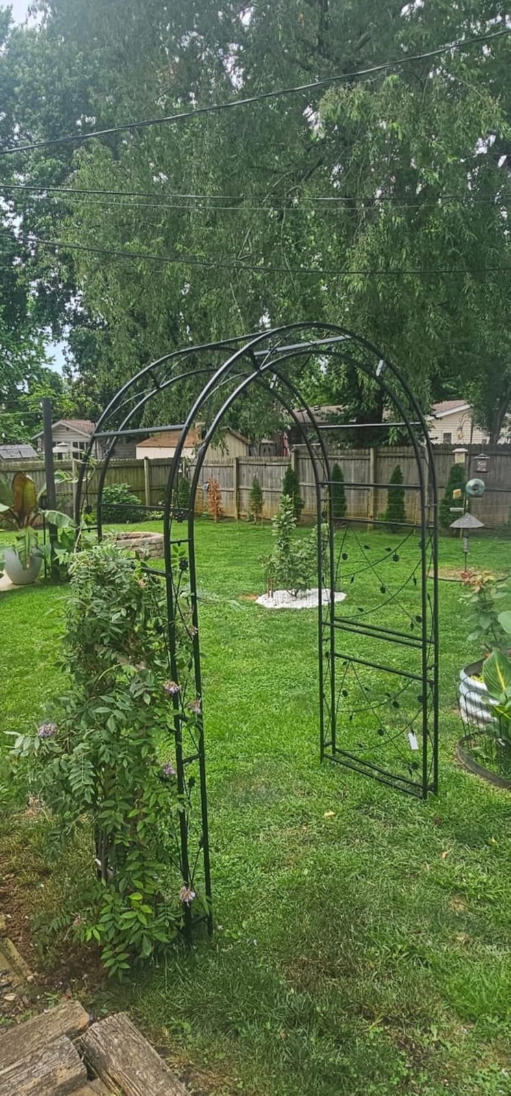 VINGLI Garden Arbor, Arch for Wedding Ceremony Party, Christmas Garden Decor Steel Garden Trellis for Plant Climbing, Pergola for Garden, Backyard, Lawn (Black-59x84) customer photo 1