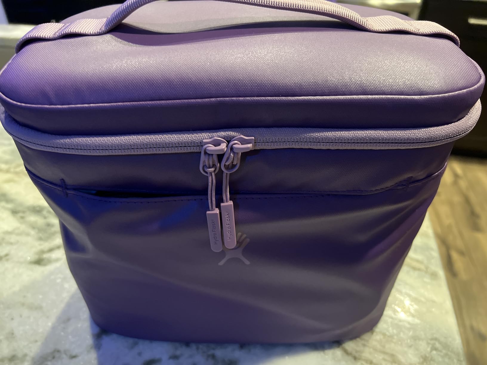Hydro Flask Lunch Bag - Insulated Adult Lunch Cooler for Men and Women 5 L Trillium customer photo 1