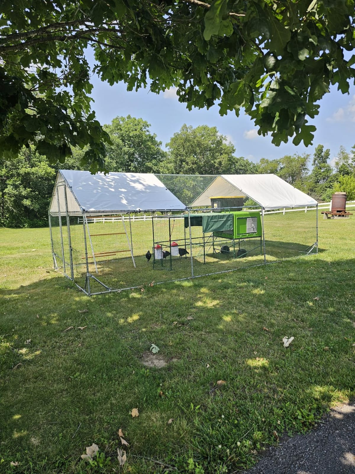 Quictent Large Metal Chicken Coop Run for 30+ Poultry w/Side Hardware Cloth | Waterproof Cover, Advanced Series Outdoor Walk-in Cage Hen Duck Rabbit Dog Pen Yard Farm House, 18x9x6.6FT customer photo 1