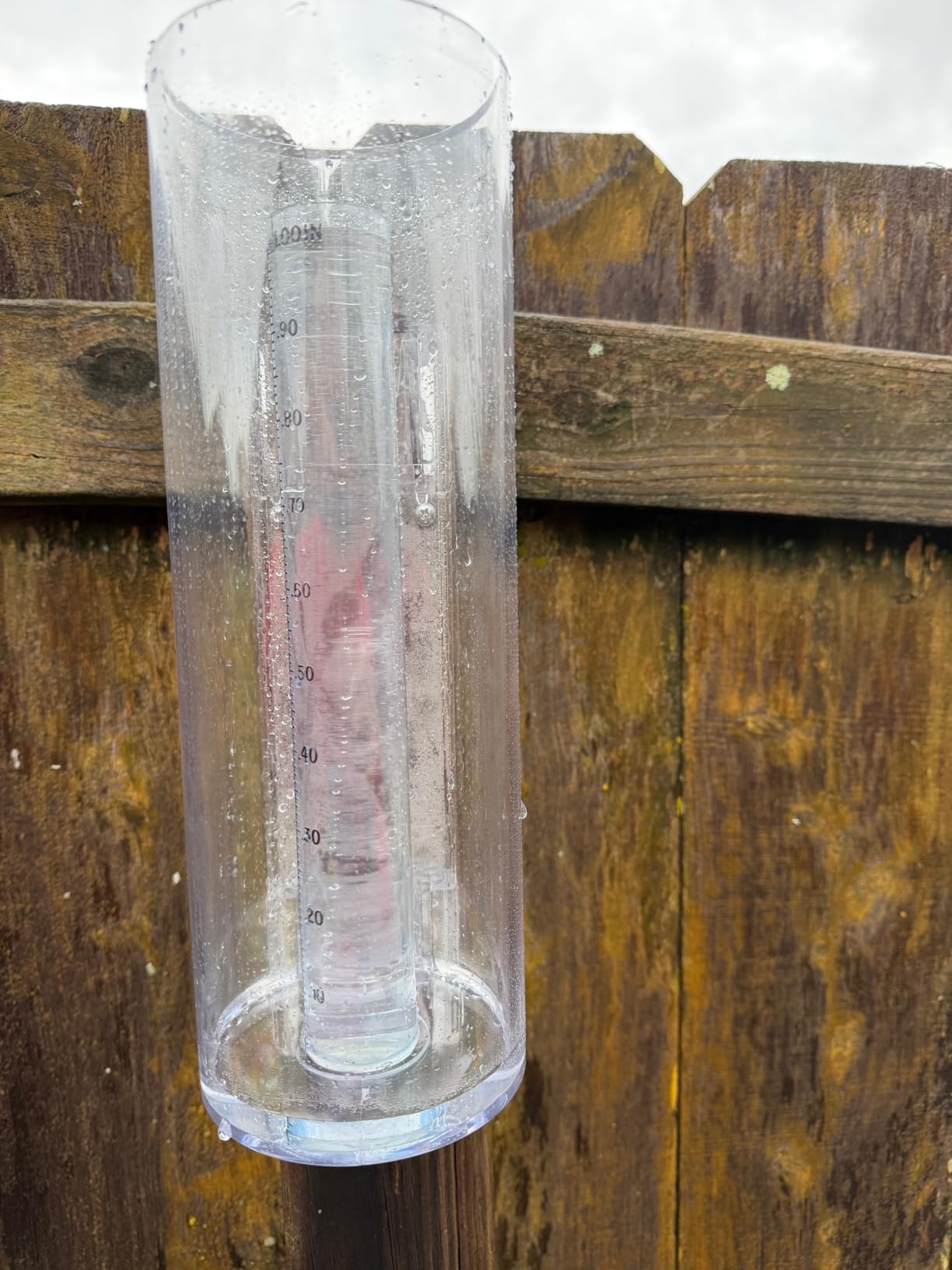 Holdly Professional Rain Gauge Outdoor, 11-Inch Capacity, Mounting Bracket customer photo 2
