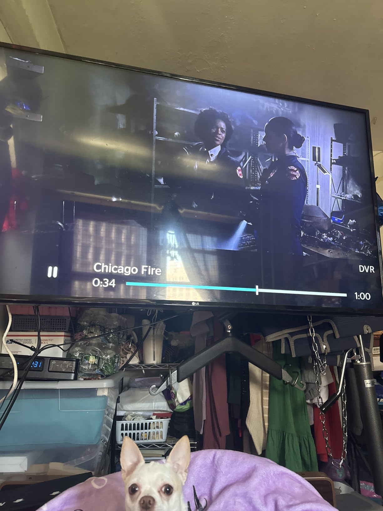 32-inch Smart TV Google TV HD 720p with Google Play and Google Cast Built-in, HDR 10, Dolby Audio, Voice Remote, Stream Live TV (Palette-Series, CG32-P3, 2024 Model) customer photo 1