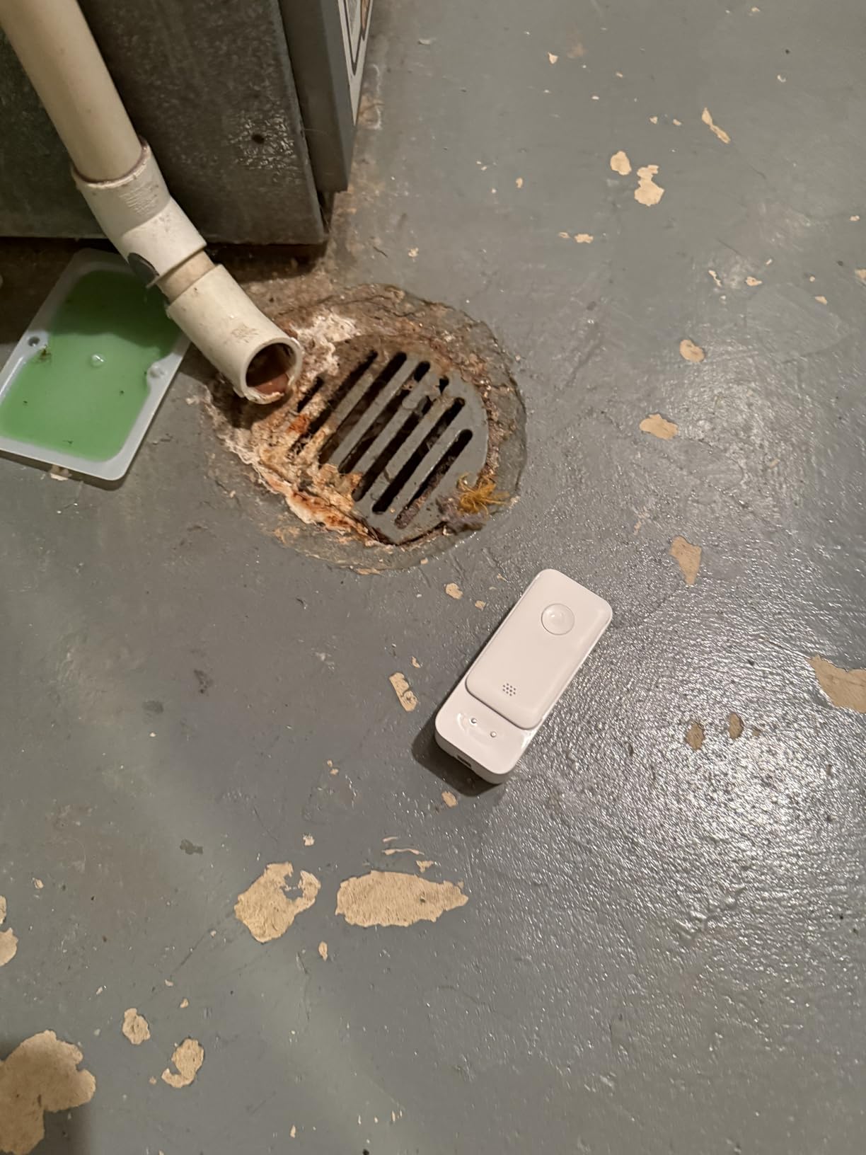 SwitchBot WiFi Water Sensor, Smart Water Leak Detector, 100dB Adjustable Alerts & App Alerts, IP67 Waterproof, Wireless Detector for Kitchen, Bathroom, Basement, No Hub Required (Support 2.4G) customer photo 1