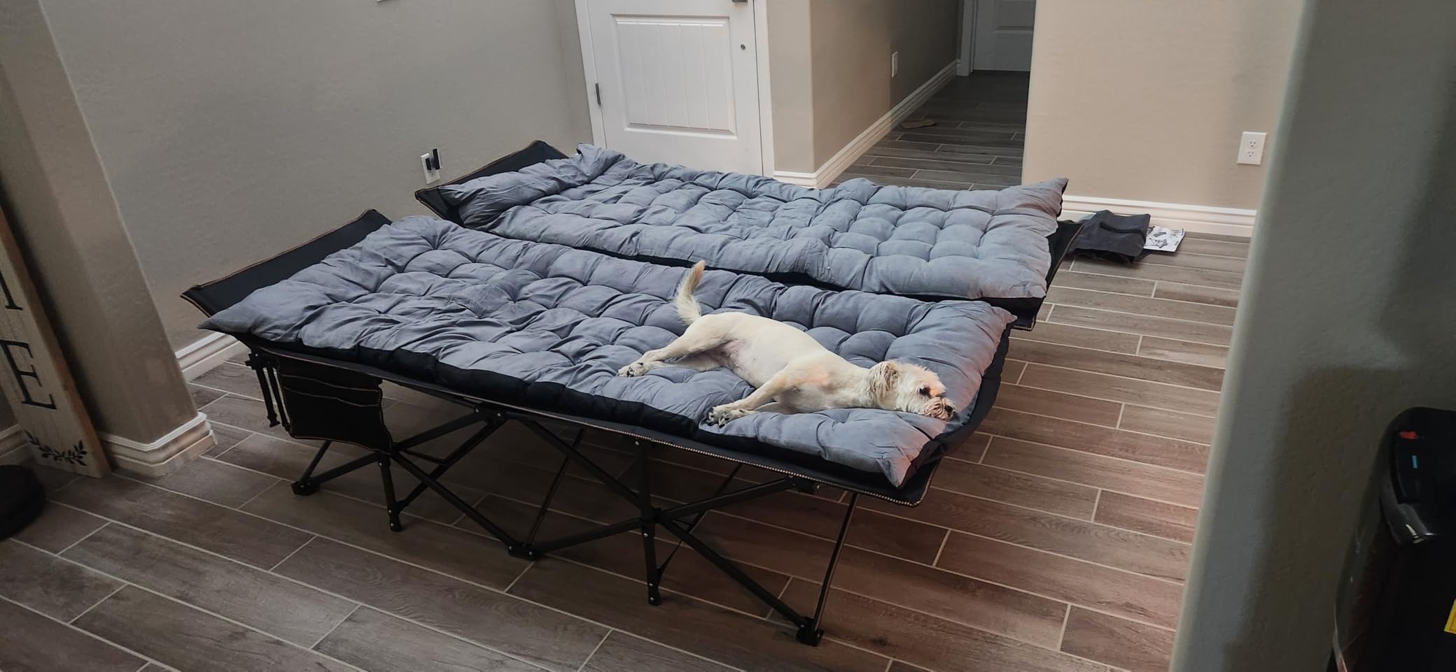 DoCred Oversized XXL Camping Cot with Mattress, 32