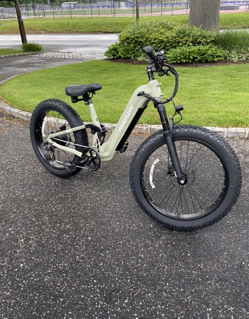 PUCKIPUPPY Electric Bike for Adults 500W, 48V 20AH Battery Adult Electric Bicycles, 26