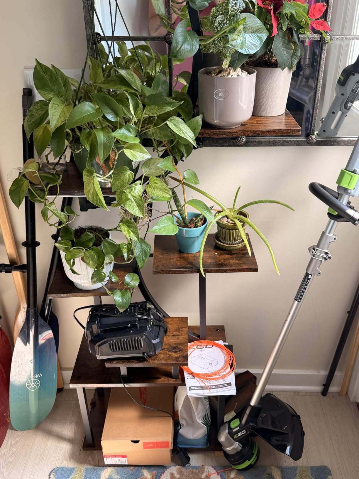 BACEKOLL Plant Stand Indoor with Grow Light, 8 Tier Corner Plant Shelf Tall | 62