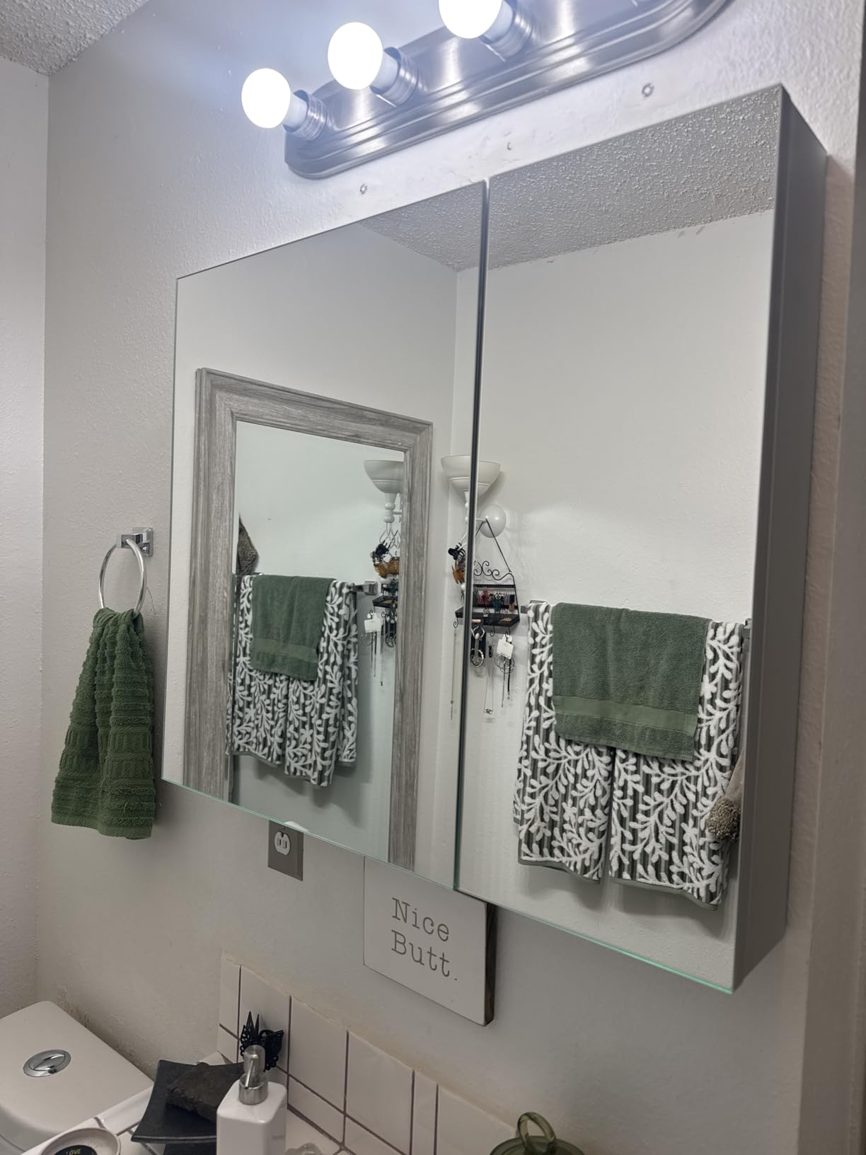 DeerValley Pre-Assembled Medicine Cabinet with Mirror, 48