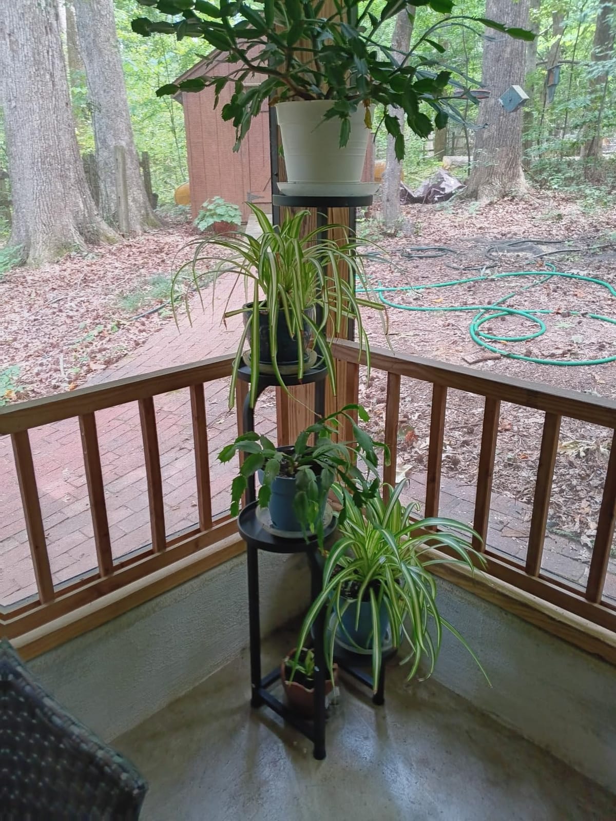 Bamworld Tall Plant Stand Indoor Outdoor Corner Metal Flower Pot Stands | 4 Tier Heavy Duty Plant Shelf for Multiple Plants Plant Table for Patio Garden Balcony Living Room Bedroom(Patent Design) customer photo 2