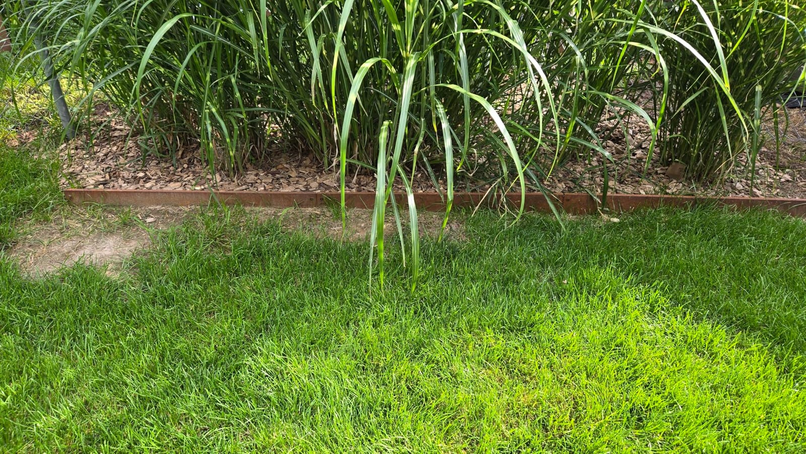 Corten Steel Landscape Edging 6