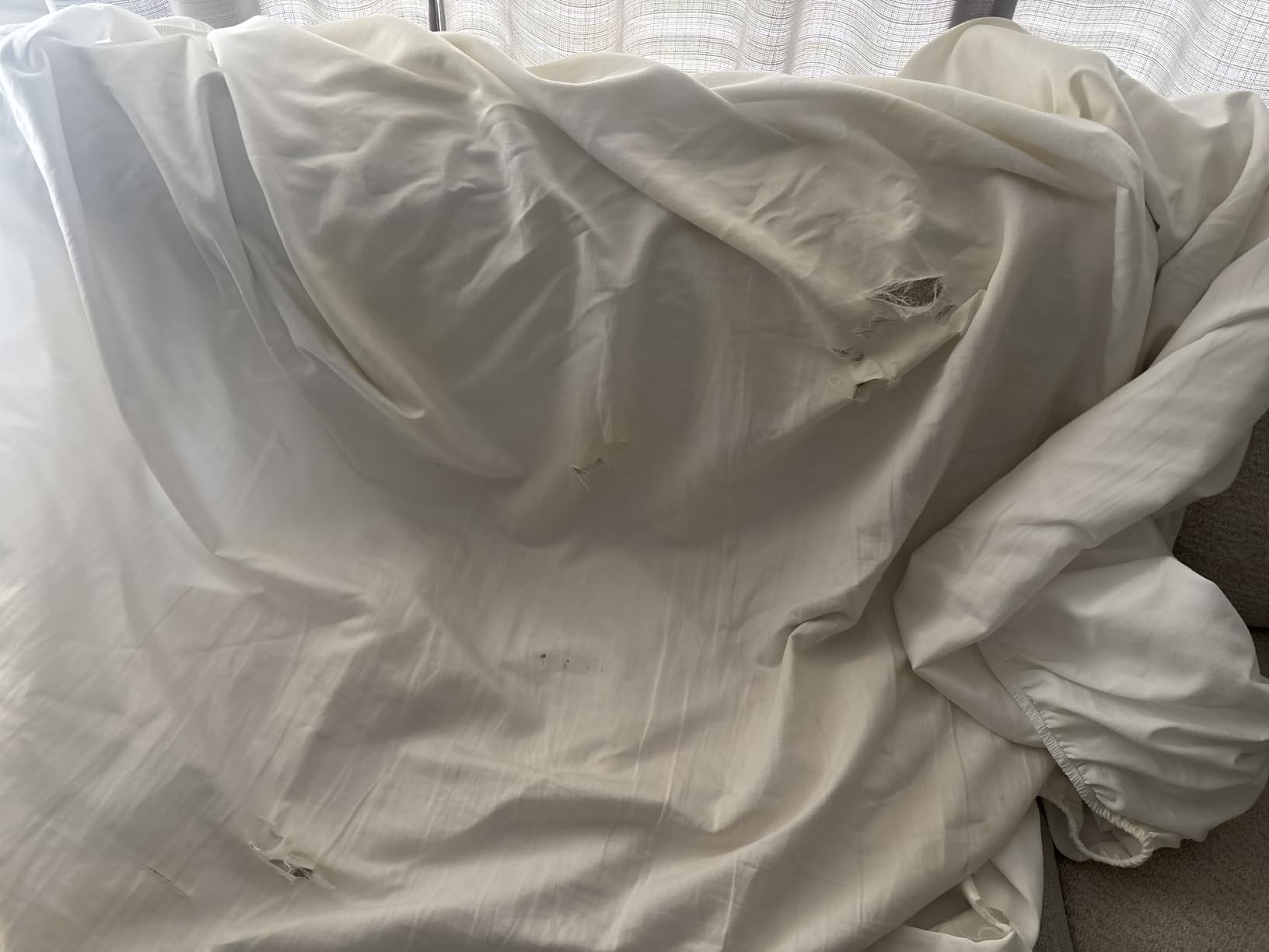 THREAD SPREAD 100% Egyptian Cotton King Size Sheets Set - Luxury 1200 Series Plush Collection Egyptian Cotton Sheets King Size (4 PC, White), Silky Soft, Cooling, 17