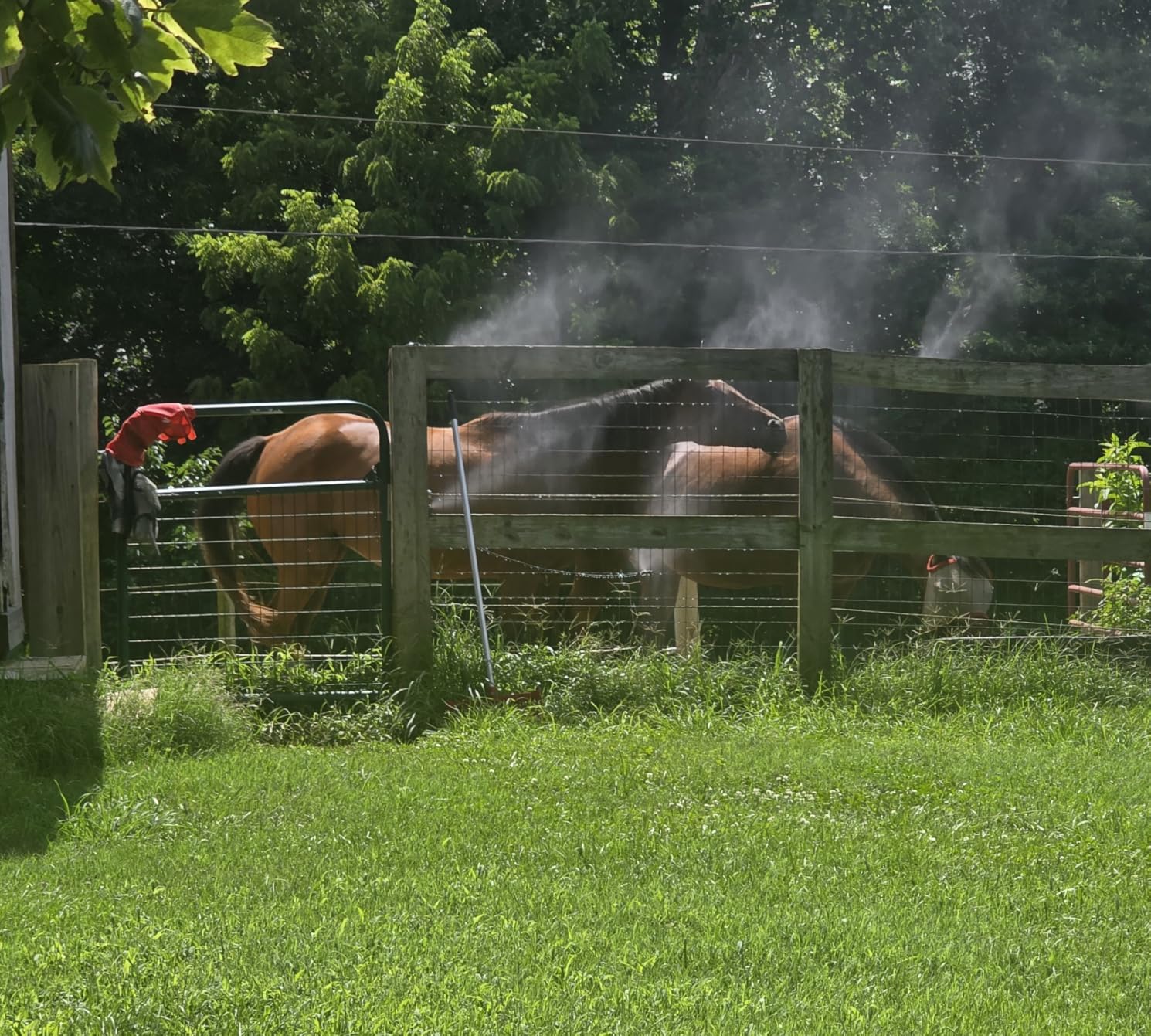 GOXAWEE Misting Cooling System, 26FT (8M) Mist Line, 7 Brass Mister Nozzles customer photo 2