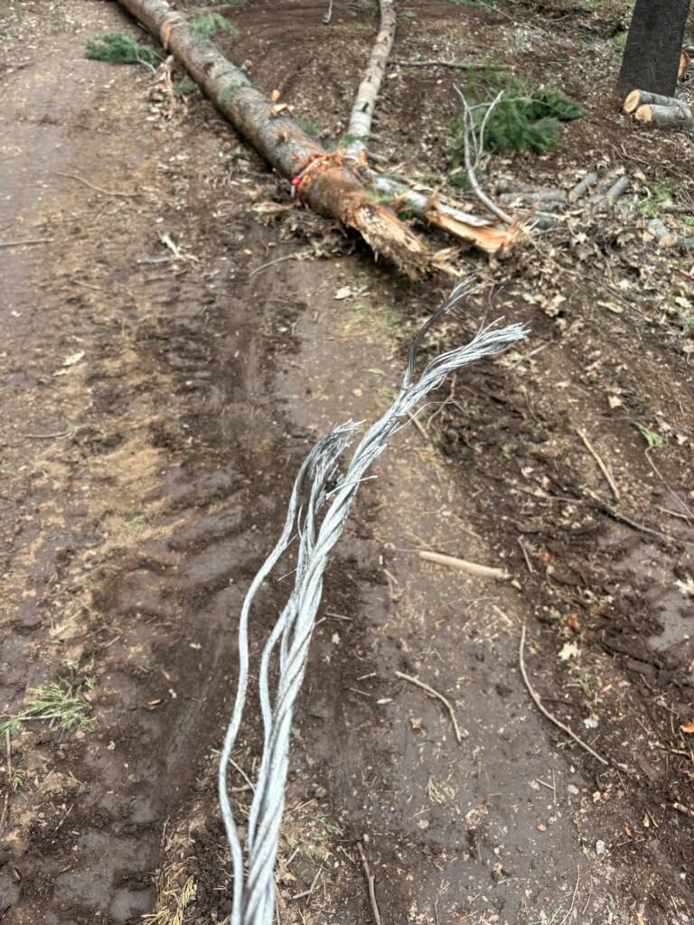 Single Leg Wire Rope Sling, 1/2