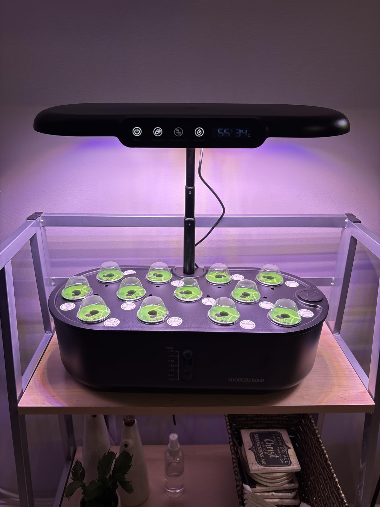 Ahopegarden Hydroponics Growing System Kit: 12 Pods Temp & Humidity Monitor customer photo 2