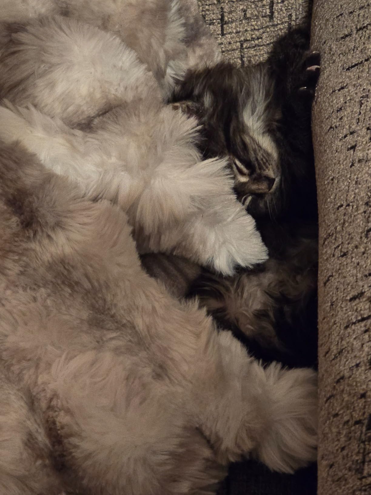 COOVA Soft Bubble Faux Fur Throw Blanket, 50
