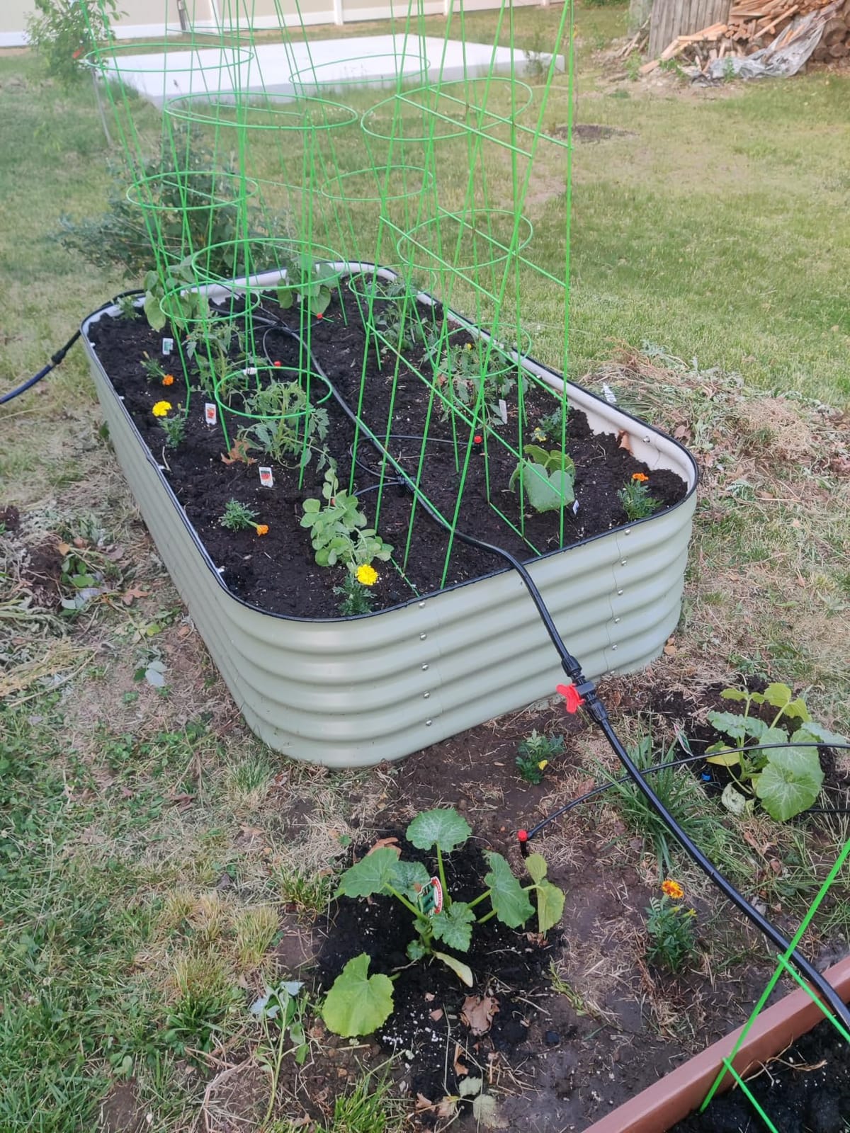 Maotong 240FT Drip Irrigation System Kit New Quick-Connect, Automatic Garden Watering Misting System for Greenhouse, Yard, Lawn, Plant with 1/2 inch Hose 1/4 inch Distribution Tubing and Accessories customer photo 2