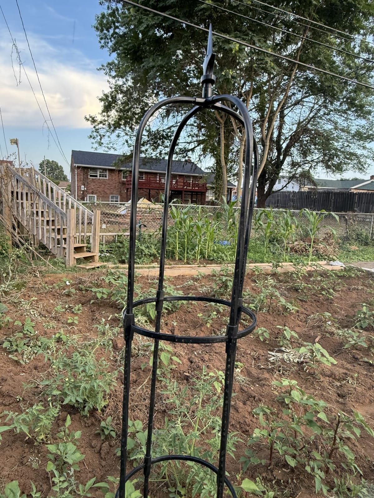 FOLLOOK Garden Obelisk Trellis for Climbing Plants Outdoor, 2 Pack | 67 Inch Lightweight Round Plant Support for Roses Clematis Cucumber Vines Raised Garden Bed Planter, Black customer photo 2