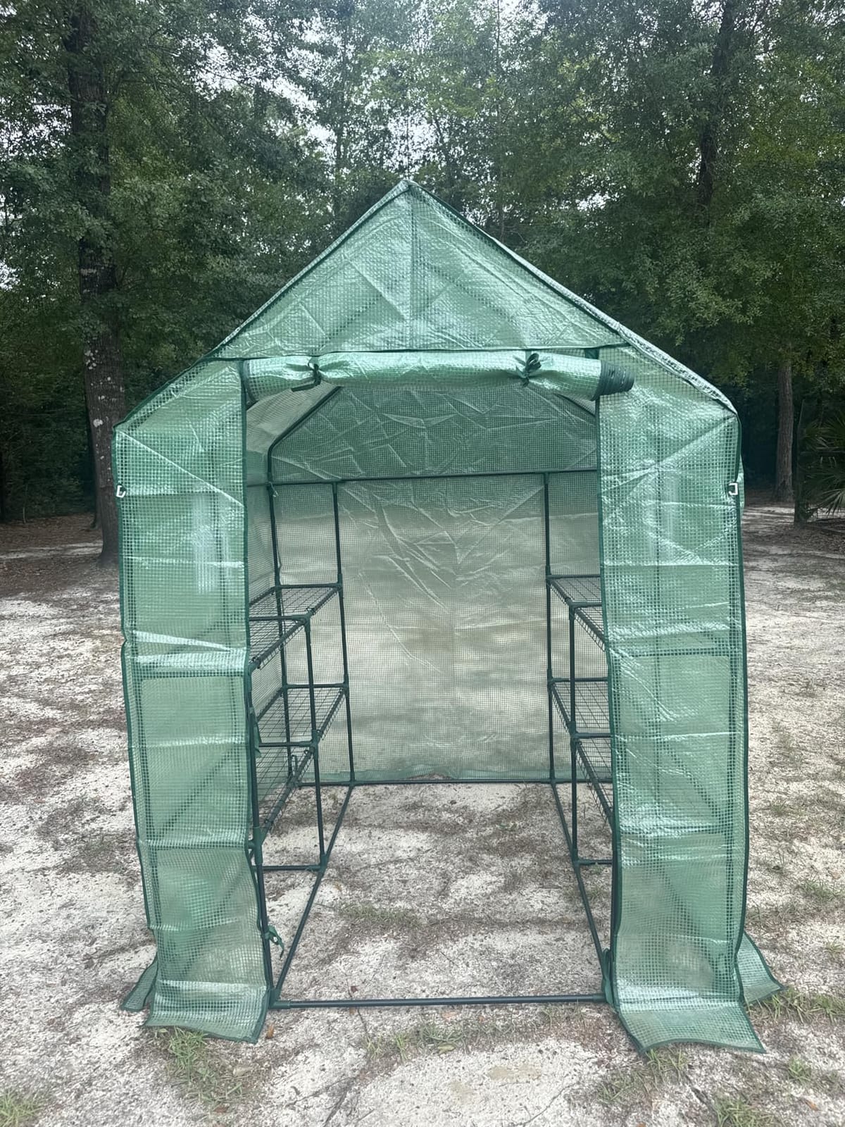 SPECILITE 56x56x78Inch Walk-in Greenhouse for Outdoors Garden Plant, Green | Thicken PE Cover, Steel Frame, Zipper Roller Door, Screen Side Window, Heavy Duty Small Plant House customer photo 2