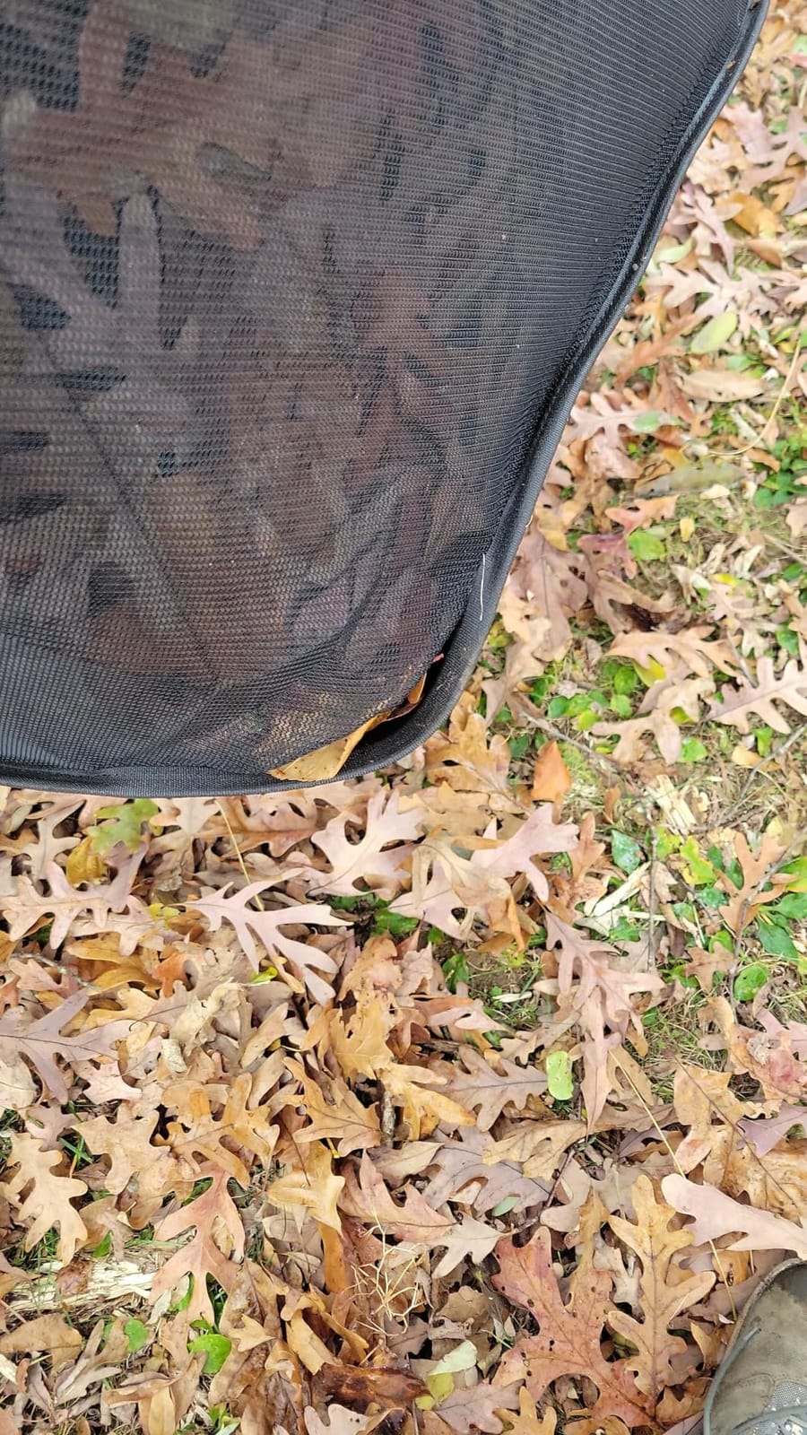 Pickup Pro XL Garden Sweeper - Manual Leaf & Grass Push Lawn Sweeper (Pickup Pro Max) customer photo 1