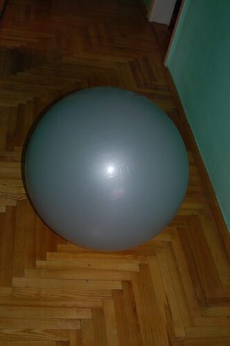 Sunny Health & Fitness Premium Anti-Burst Exercise & Stability Ball | 660LB Capacity customer photo 1