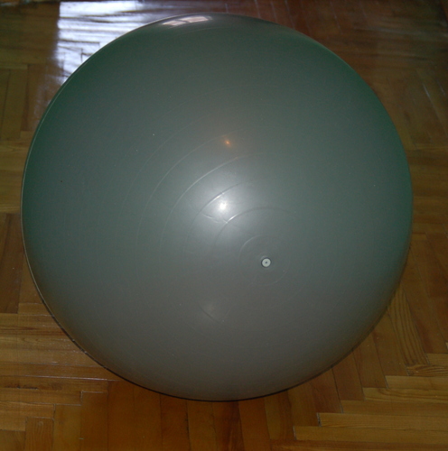 Sunny Health & Fitness Premium Anti-Burst Exercise & Stability Ball | 660LB Capacity customer photo 2