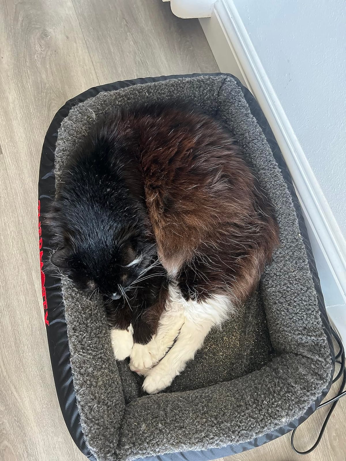 Thermotex Far Infrared Heated Pet Bed - Heated Cat & Dog Bed for Pain Relief & Arthritis - Therapeutic Heat Pad for Elderly Pet Support & Relaxation - Machine Washable customer photo 2