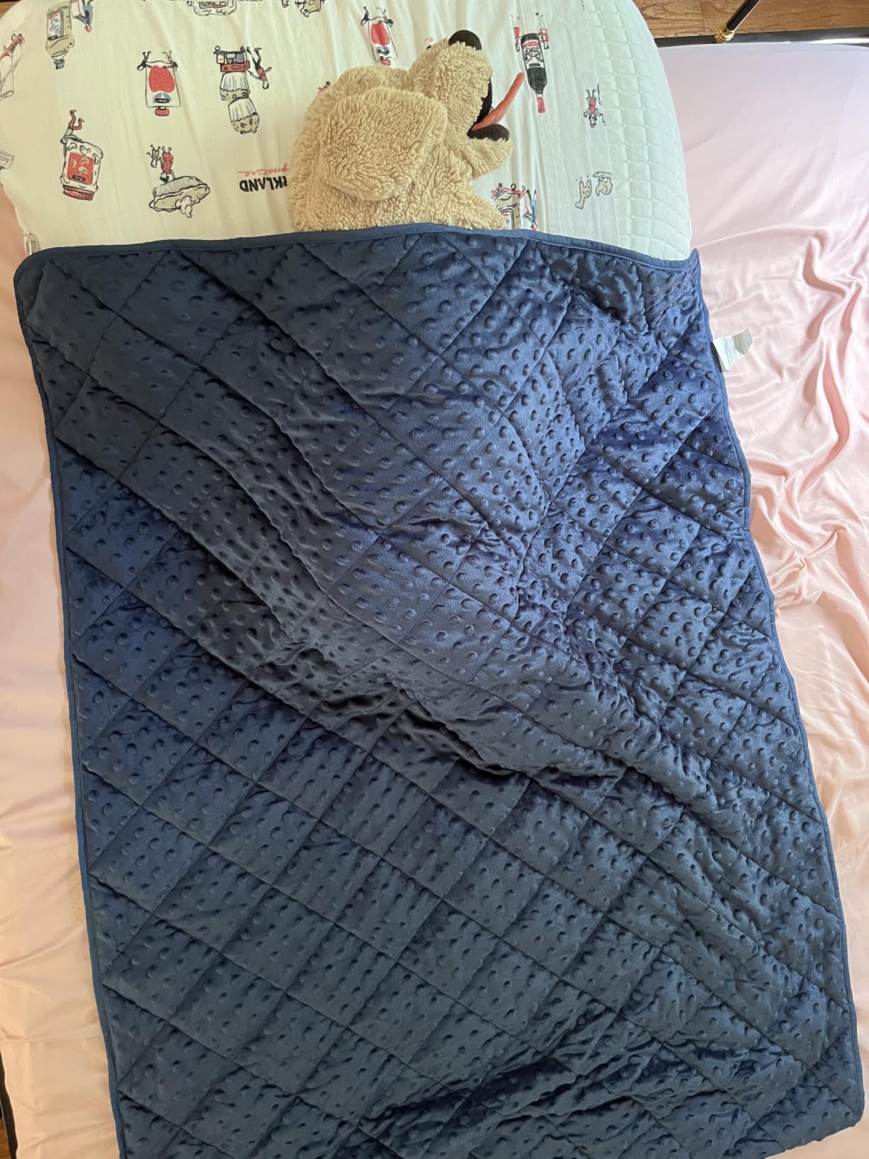 yescool Weighted Blanket Kids 5 Pounds, Minky Kids Blanket Gifts for Boys Girls, Small Weighted Throw Blankets Washable Heavy Blankets, Winter Weighted Comforter for 5 6 7 8 9 Year Old, 36 * 48in customer photo 1