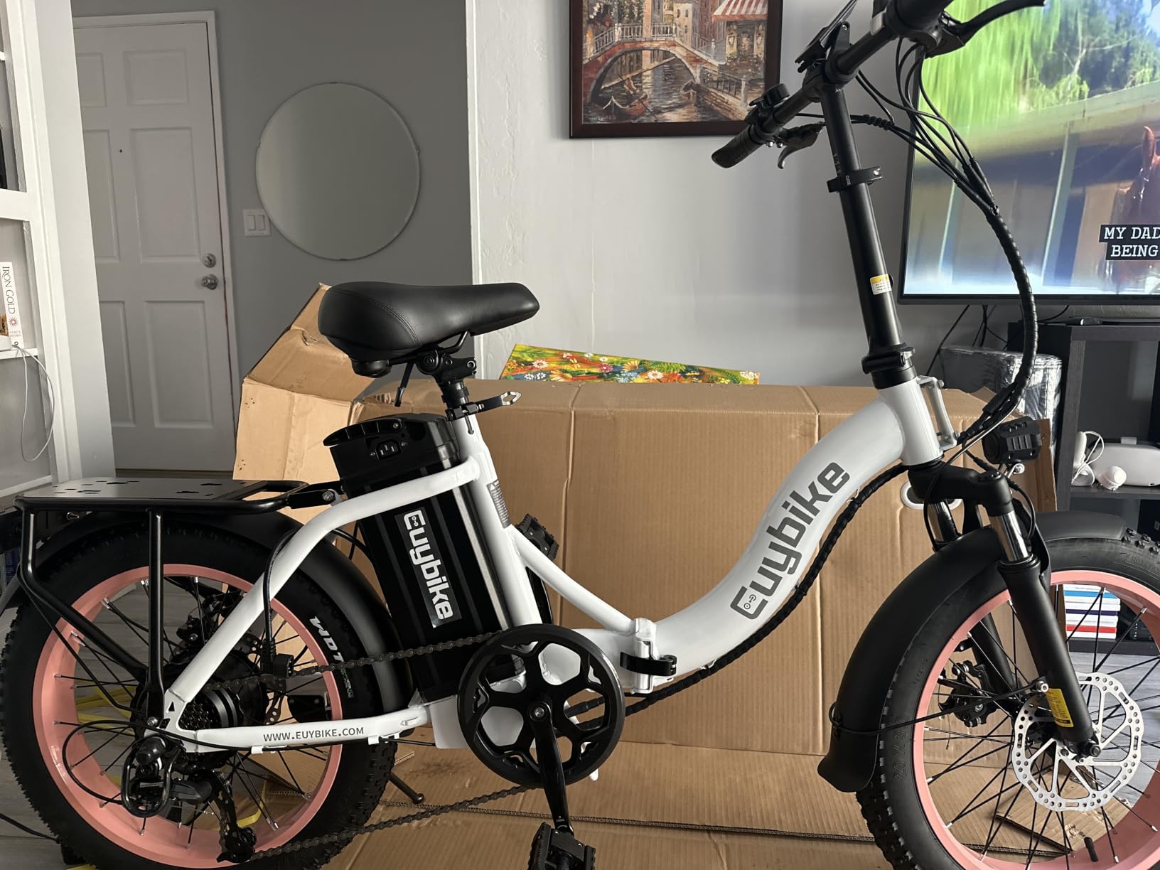 EUYBIKE Electric Bike for Adults, 20