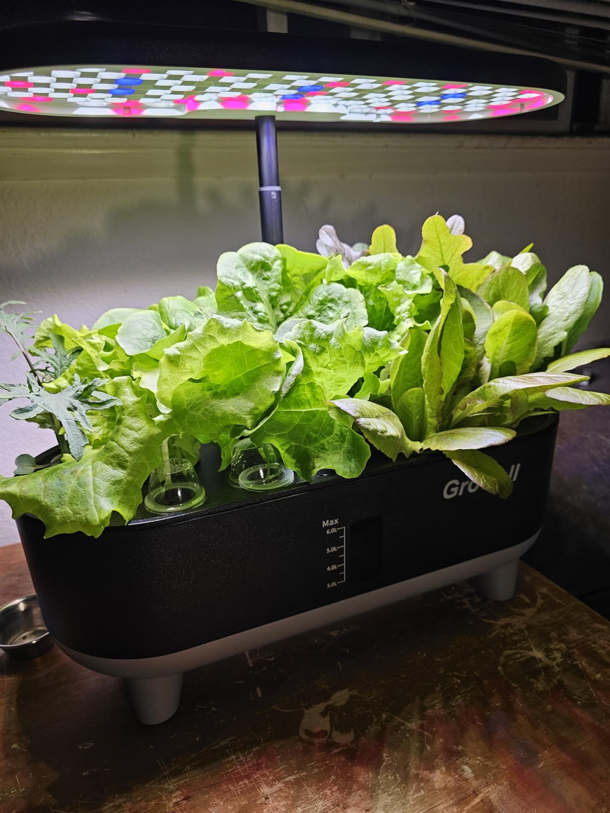 Growell Hydroponics Growing System Kit, 16 Pods Indoor Garden with 28W Full Spectrum LED Grow Light, Auto Timer, 3 Smart Light Modes, 8L Large Herb Garden, Ideal Gardening Gift for Women, Men (Gray) customer photo 1