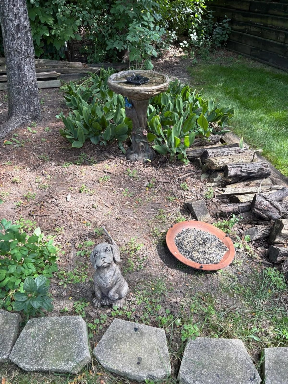 SunJet 25.5 Inch Height Wood-Look Concrete Bird Bath with Decorative Faux Bird - Birdbath Rustic & Long-Lasting Design, Enhances Garden, Patio, Yard, Lawn Décor customer photo 1