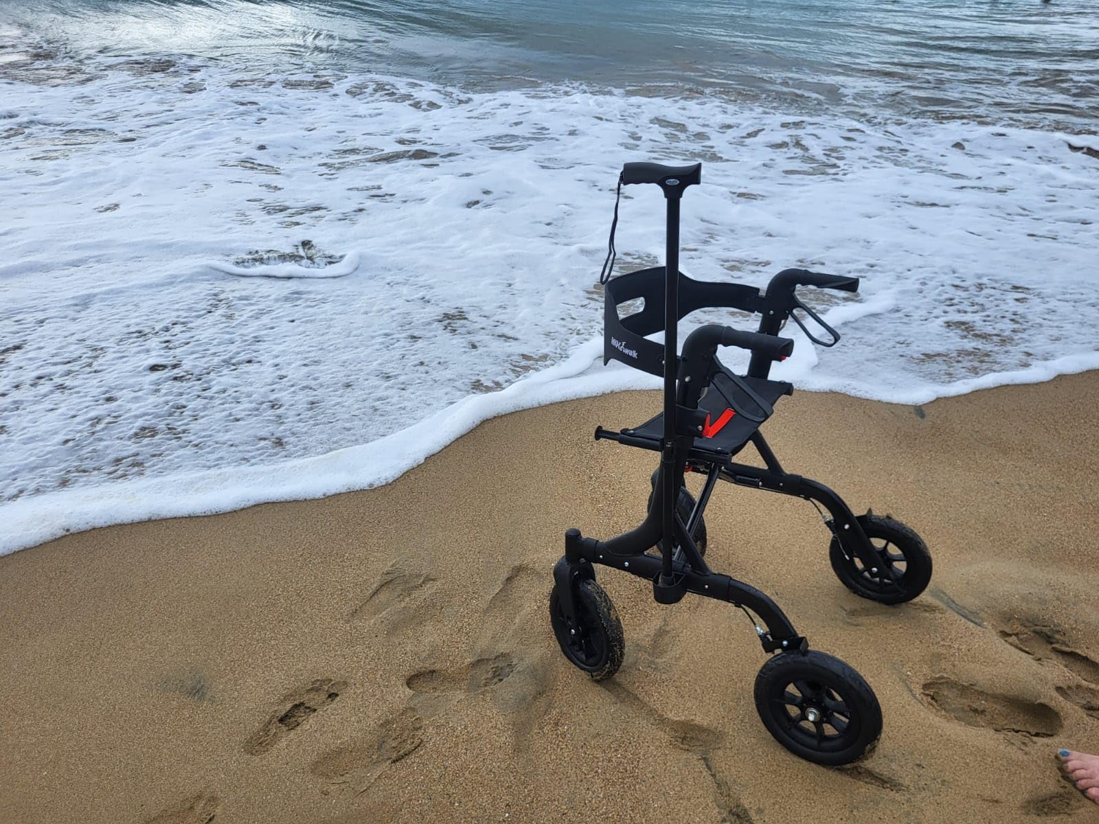 MAXWALK Foldable Rollator Walker for Seniors with Seat, 10
