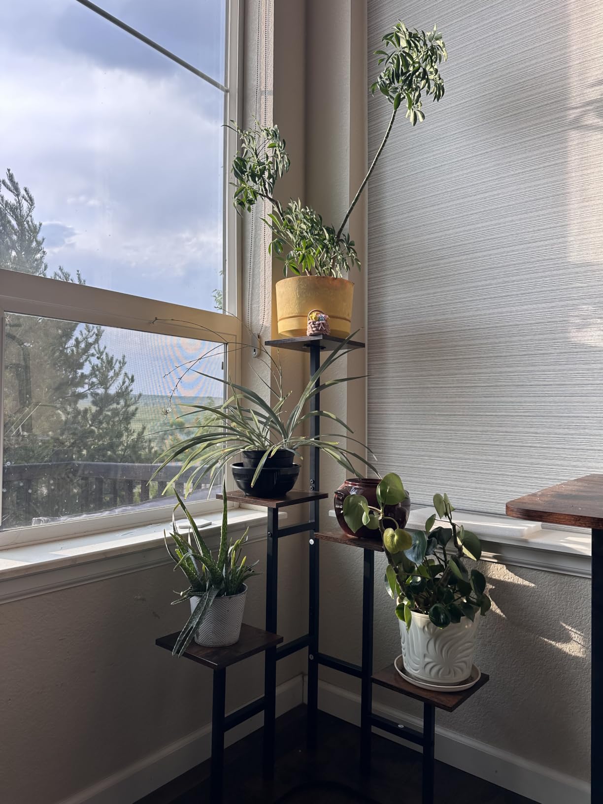 Yzosvki Corner Plant Stand Indoor 6 Tiered Corner Plant Shelf | Flower Stand for Multiple Plants, Plant Shelves Organizer Rack for Living Room, Balcony, Patio, Garden, Rustic Brown customer photo 1