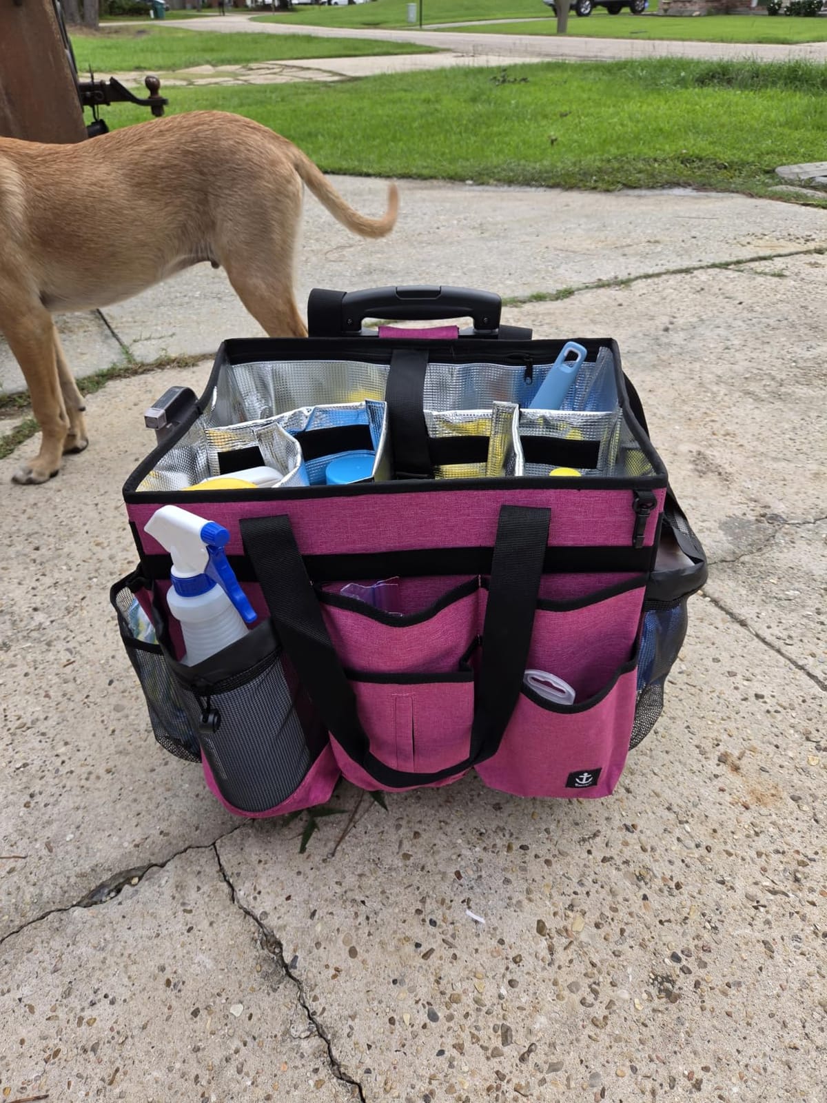 Rolling Cleaning Caddy Bag Built-in Hard Plastic Sheet Detachable Trolley customer photo 2
