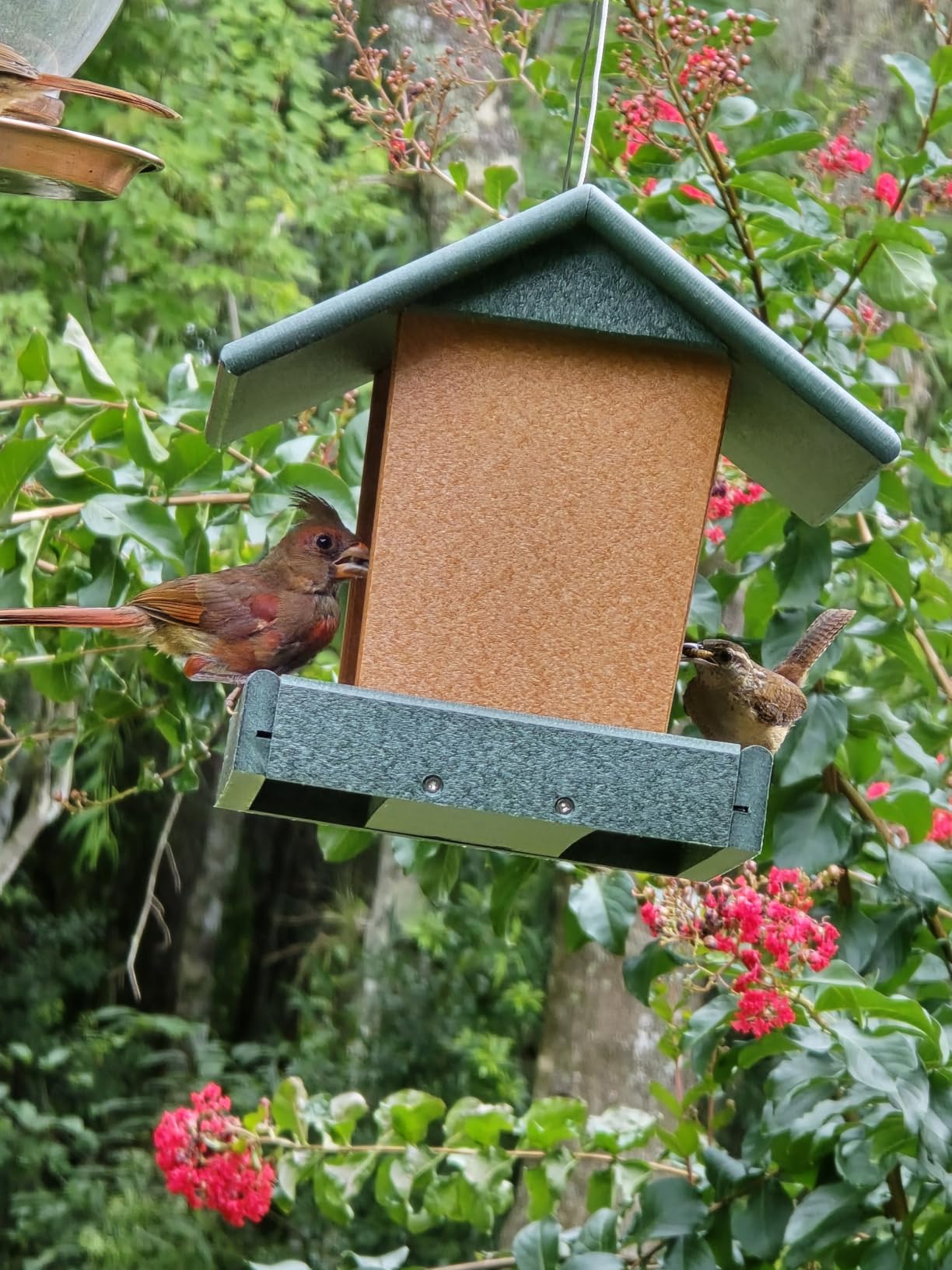 DutchCrafters Poly Hanging Hopper Bird Feeder, Large Hanging Bird Feeder for Outside, Outdoors - Amish American Made (Tudor Brown & Weatherwood) customer photo 2