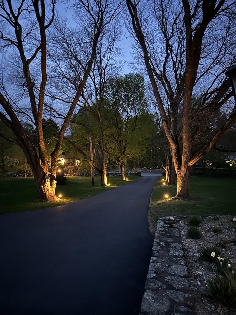 Linkind Smart Solar Spot Lights Outdoor SL5C, IP67 Solar Lights Outdoor | Cool/Warm White/Color Changing Spotlight, APP/Voice Control,Landscape Lighting for Yard, Garden, Pathway(2 Pack) customer photo 2