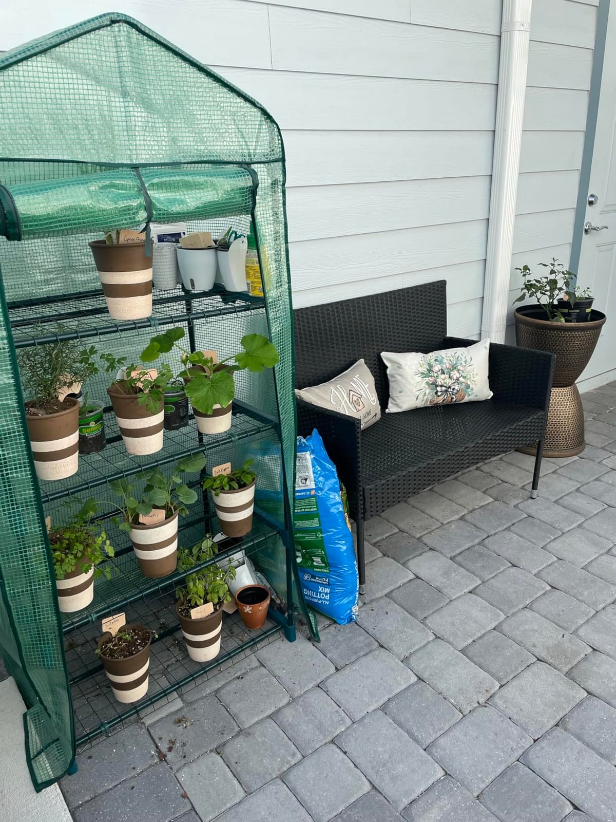 4-Tier Mini Greenhouse for Indoor Outdoor | Small Plastic Plant Green House Portable Greenhouses with Durable PE Cover for Seedling customer photo 2