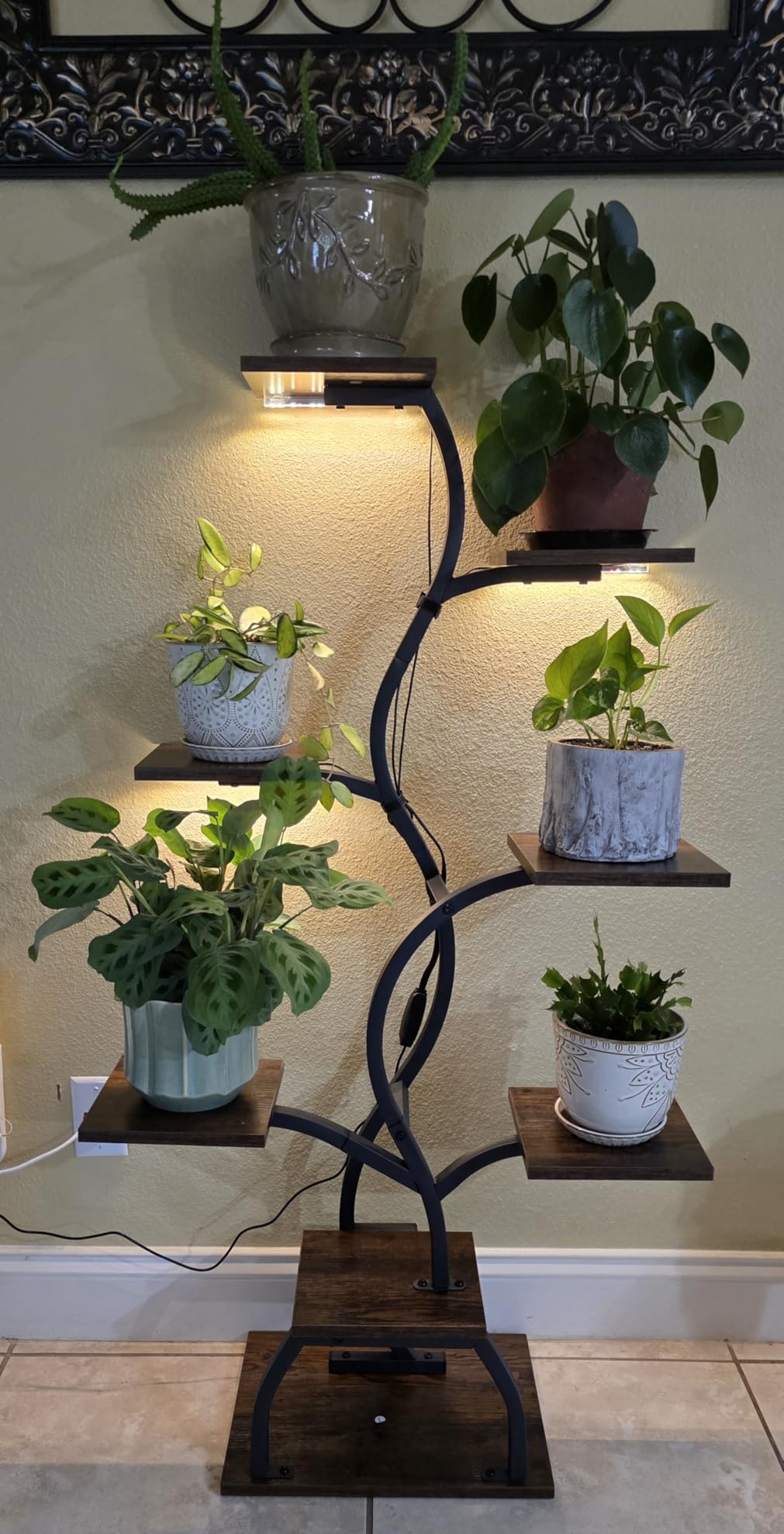 Plant Stand Indoor with Grow Light - 8 Tiered Corner Plant Shelf Indoor customer photo 1