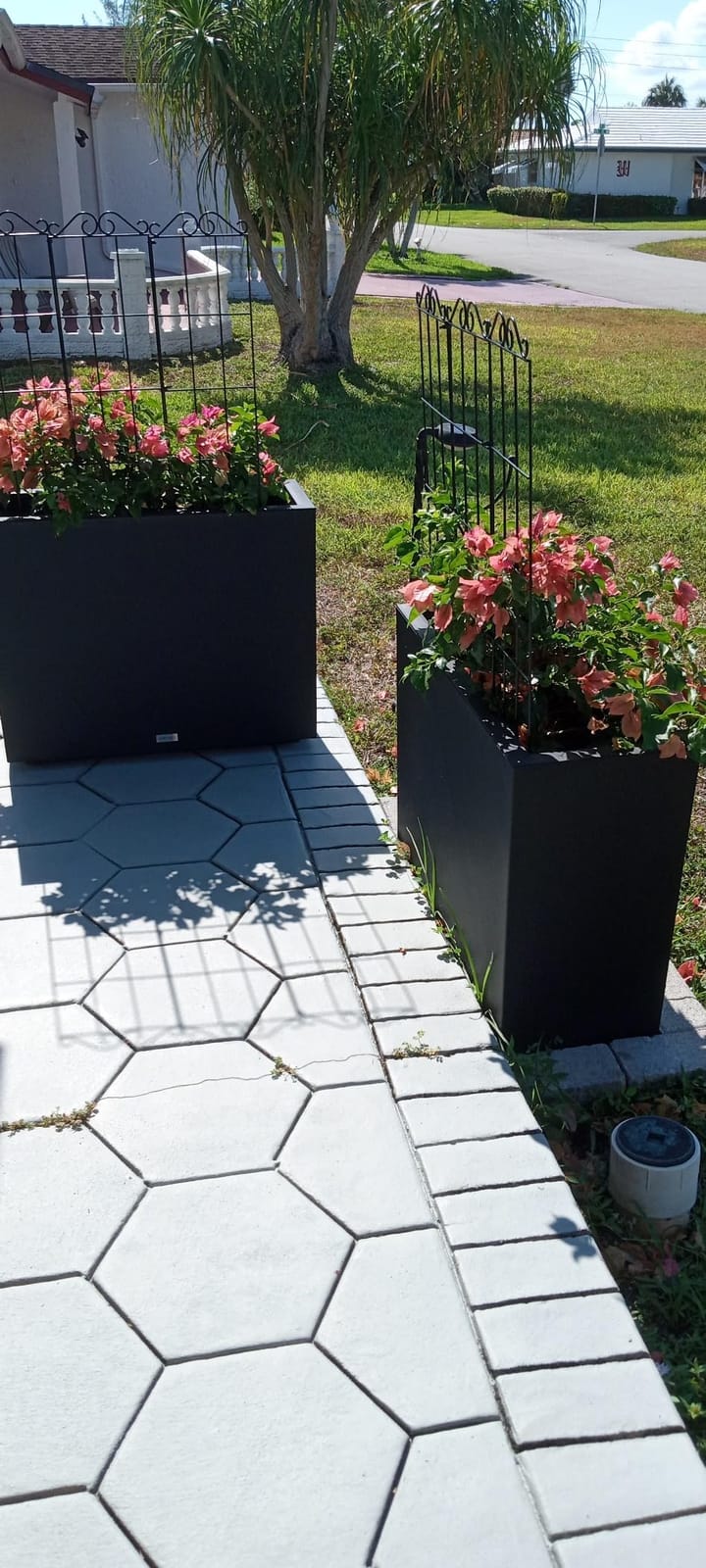 ARIFARO 4Pack 57.5'' Metal Garden Trellis for Climbing Plants Outdoor | Thicken Steel Trellis, For Indoor/Outdoor, Tomato, Cucumber, Rose, Flower, Potted Plants, Houseplants, Climbing Vines, Black customer photo 1