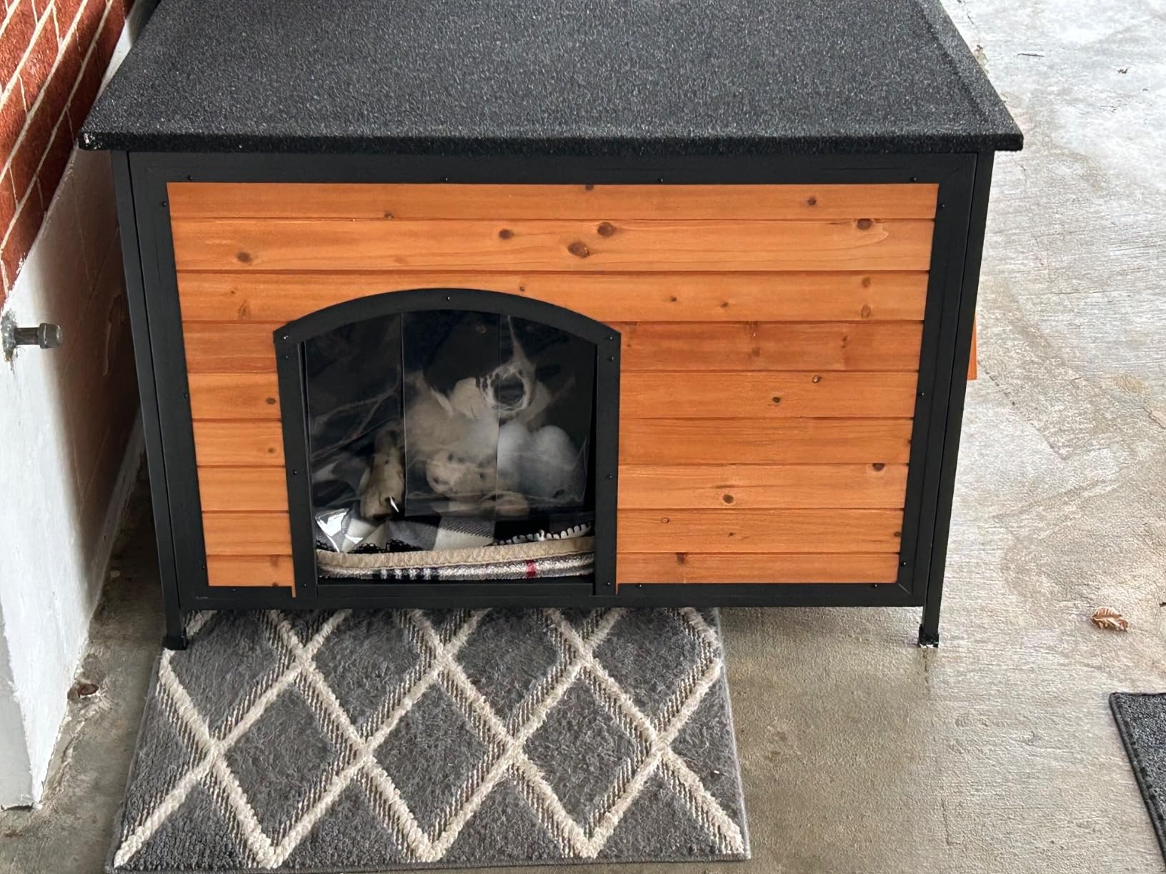 Outdoor XXL Insulated Wooden Dog House Weatherproof Chew Resistant Frame | 6-Side Foam Insulation, 280 LBS High Load Capacity, Chew-Resistant Metal Frame, Asphalt Roof & Removable Floor customer photo 2
