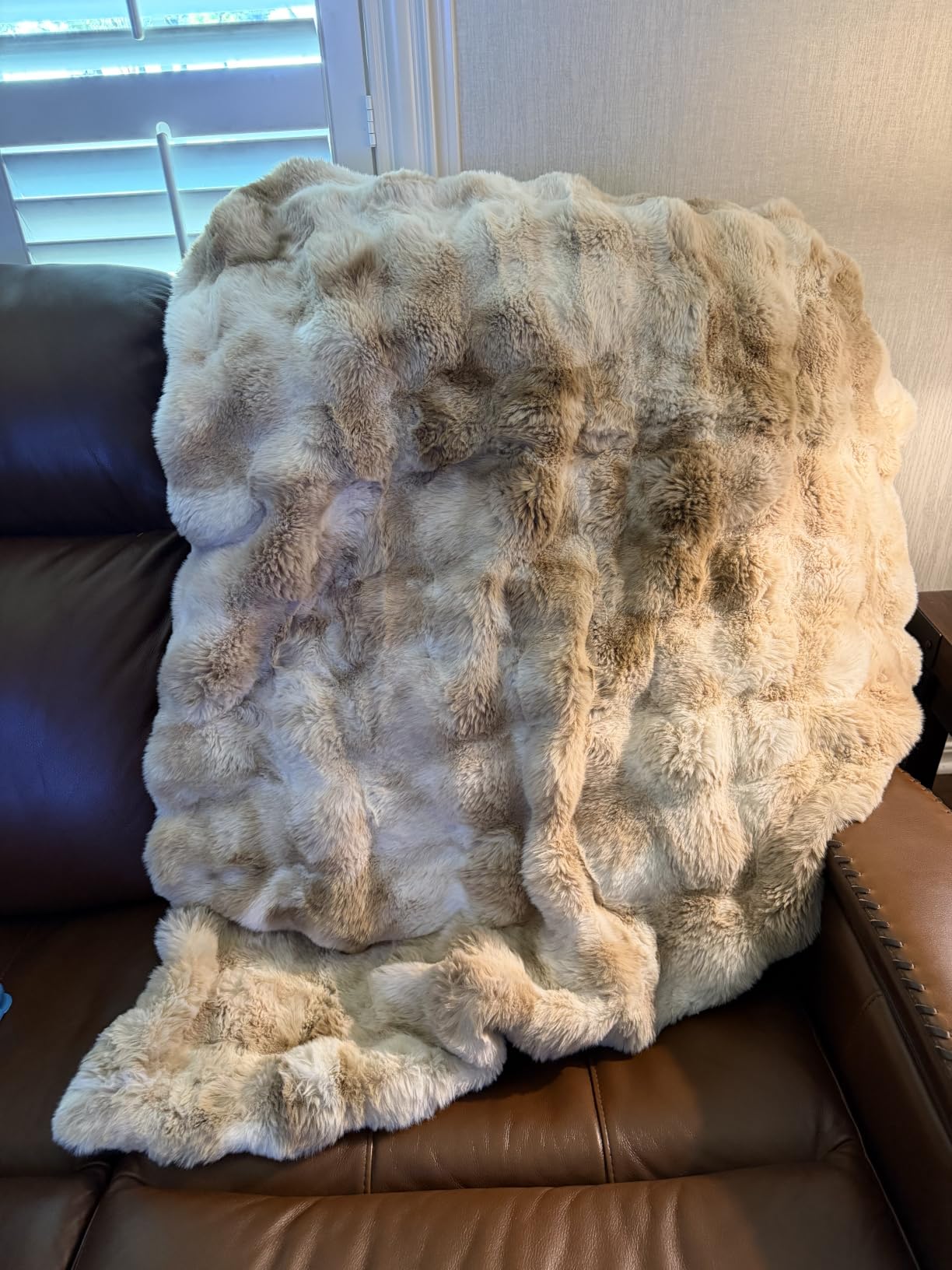 Cozy Bliss Faux Fur Throw Blanket for Couch, Fuzzy Soft Plush Thick Bubble Blanket for Sofa Bedroom Living Room, 50 * 60 Inches Beige customer photo 2