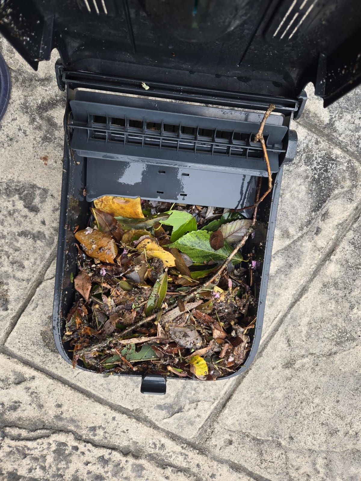 AIPER EcoSurfer S2 Solar Pool Skimmer Robot 24/7 Continuous Cleaning, Gray | App Support, Dual Charging Modes, Smart Obstacle Avoidance, 150-um Filtration, OTA Upgrade, Leak-Proof Baffle, Edge Cleaning customer photo 2