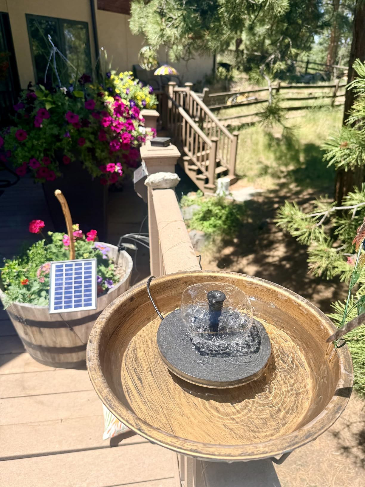 POPOSOAP 6.5W Solar Fountain Pump for Bird Bath Built-in 3000mAh Battery Backup, DIY Solar Water Fountain with Double-Layer Nozzles & Dry-Run Protection 5Ft Tubing for Ponds, Bird Bath, Water Features customer photo 2