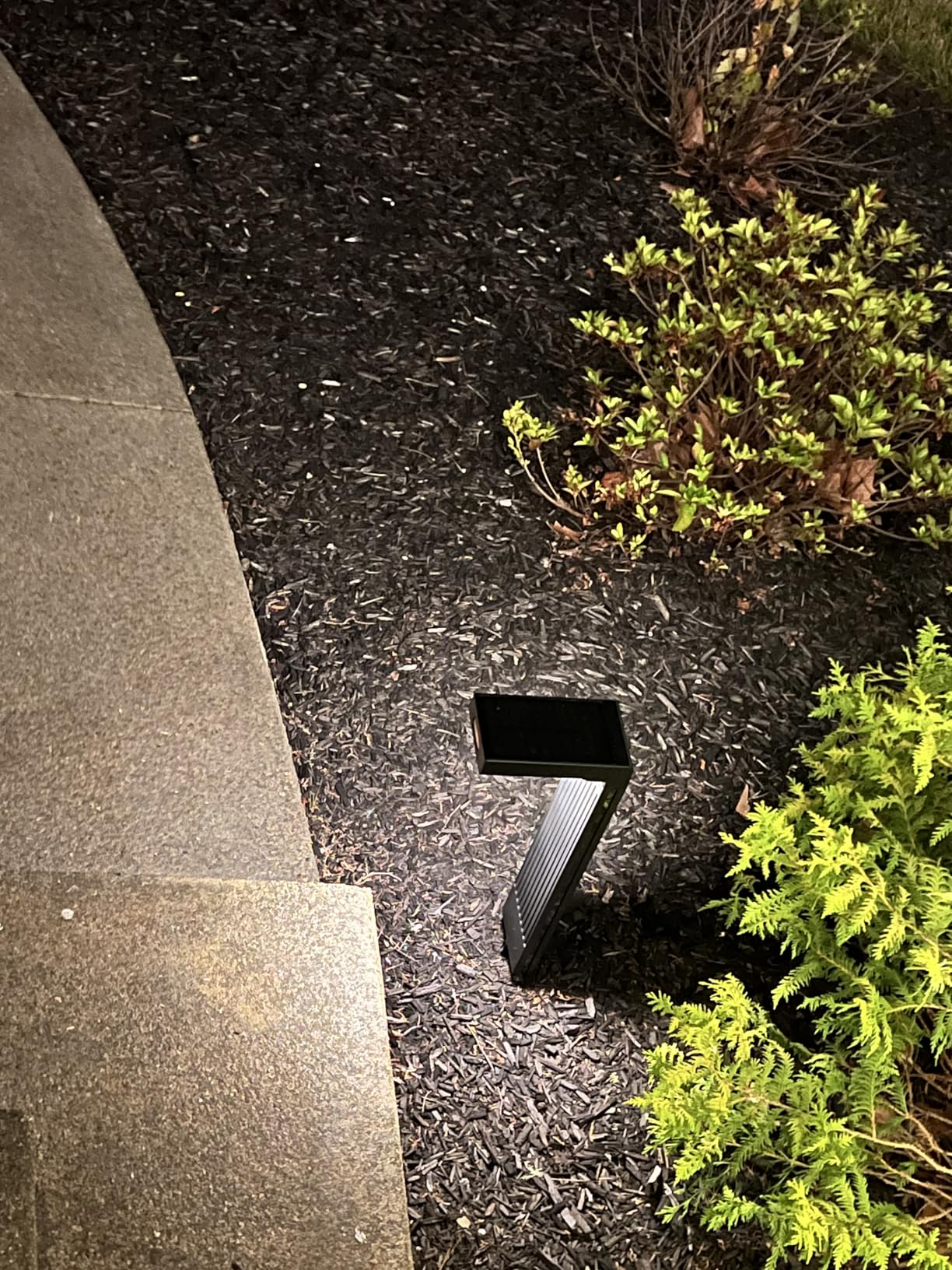 COXSENI Motion Sensor Solar Pathway Lights Outdoor,6 Working Modes,6 Pack customer photo 1