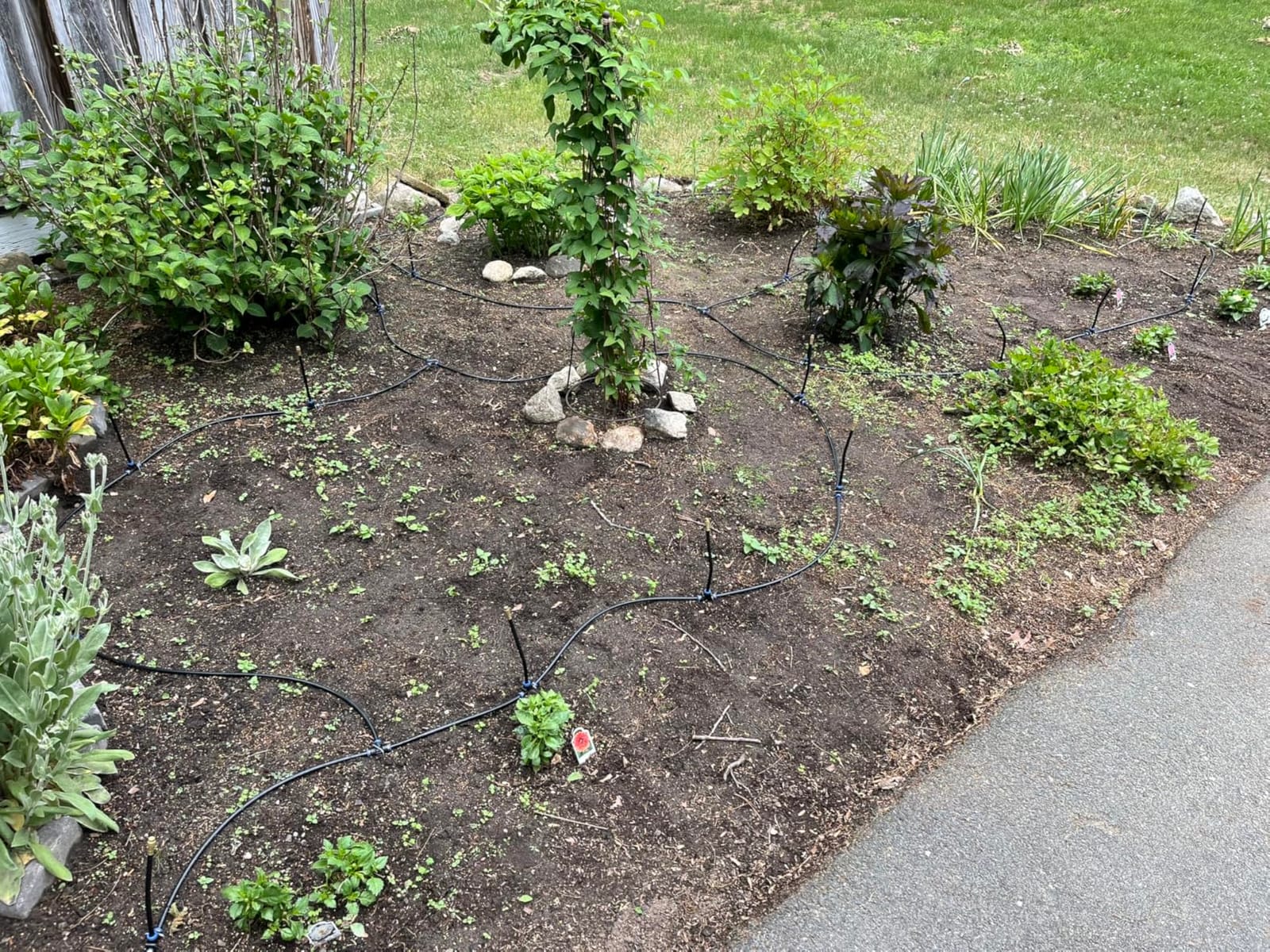 Thiswing 360° Adjustable Drip Irrigation System with 16 Nozzles customer photo 2