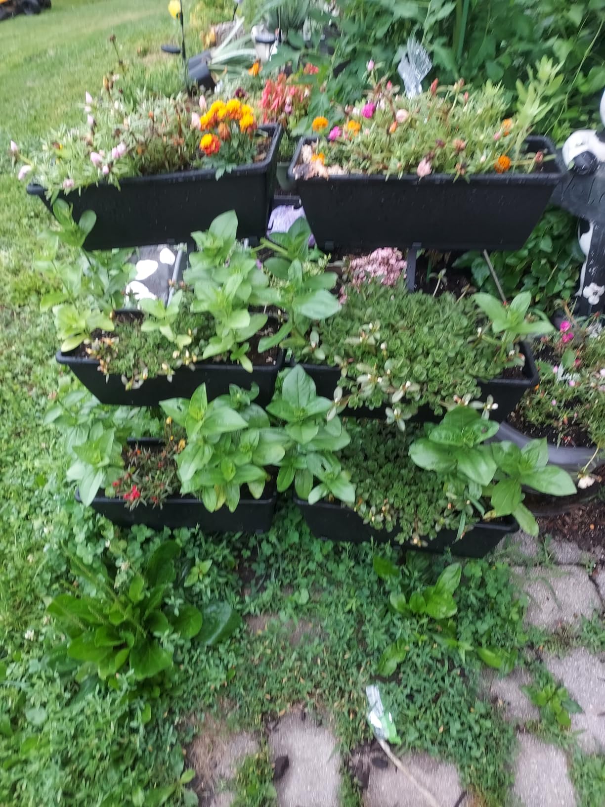 Raised Garden Beds Outdoor with Planter Boxes Vertical Raised Bed with Legs | Freestanding Garden Boxes for Gardening, Elevated Herb Garden Planter with Water Drainage for Patio, Balcony, Backyard, Black customer photo 2