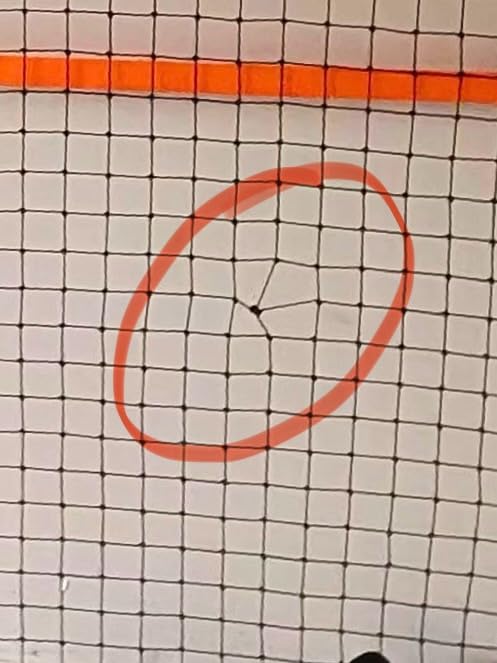 Fraxa Pickleball Rebounder Training Equipment - Pickleball Net for Solo Practice Drives Dinks Volley Accuracy - Portable for Outdoor Driveway Backyard Indoor Garage customer photo 2