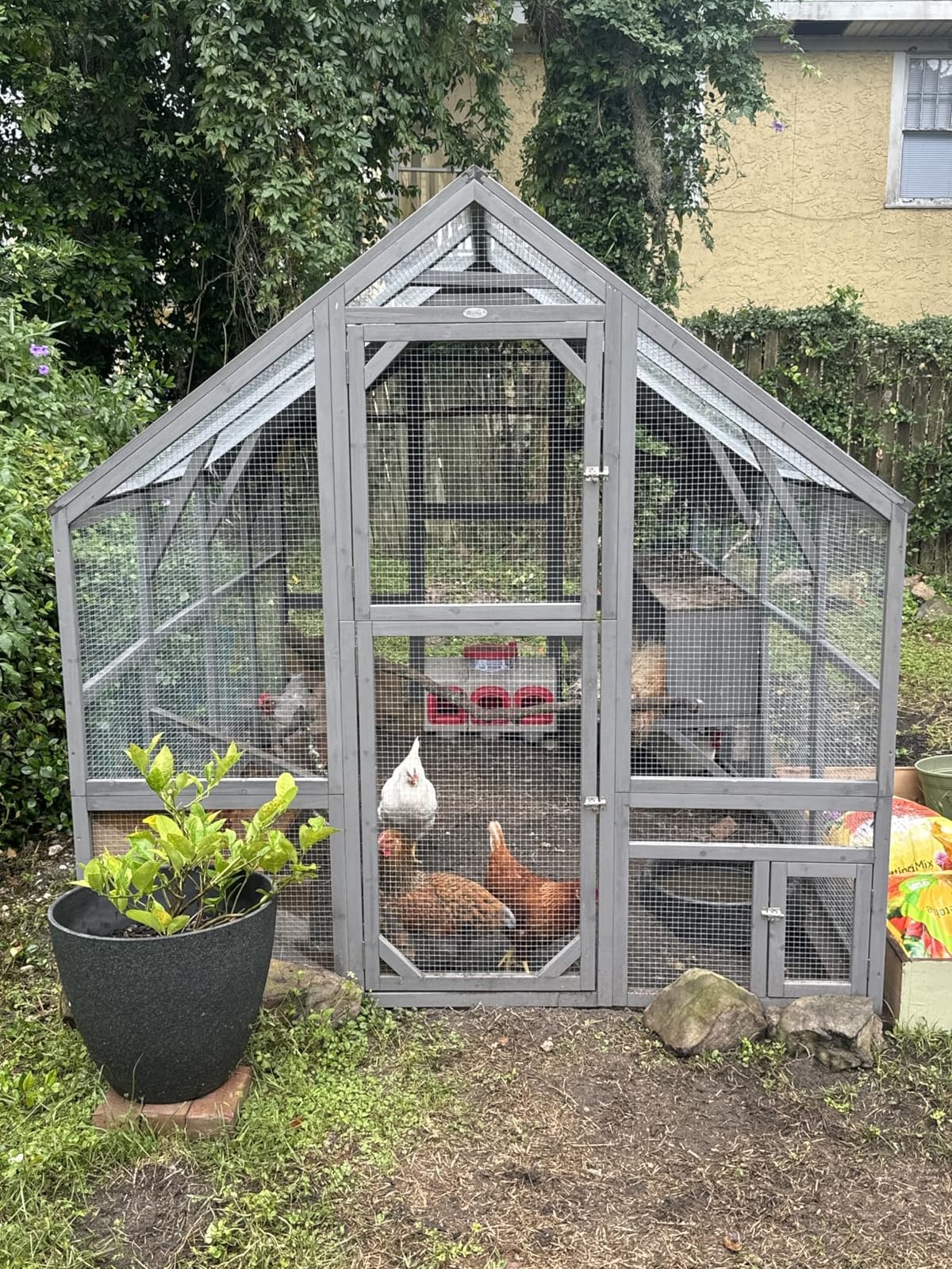 PawHut Large Wooden Chicken Coop for 6-8 Hens 66